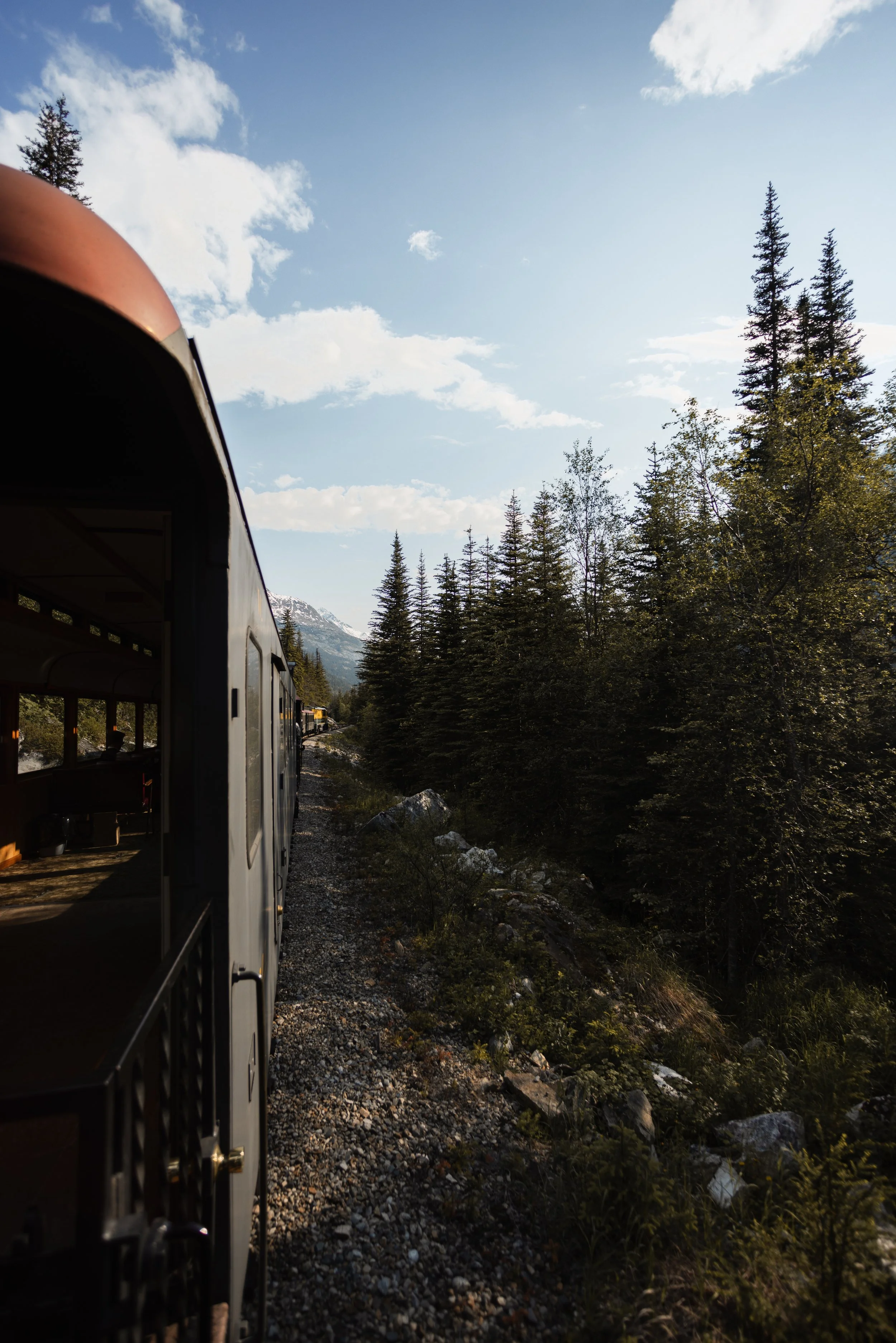 A view from a train window showing a forest with tall trees and mountains in the distance under a partly cloudy sky.