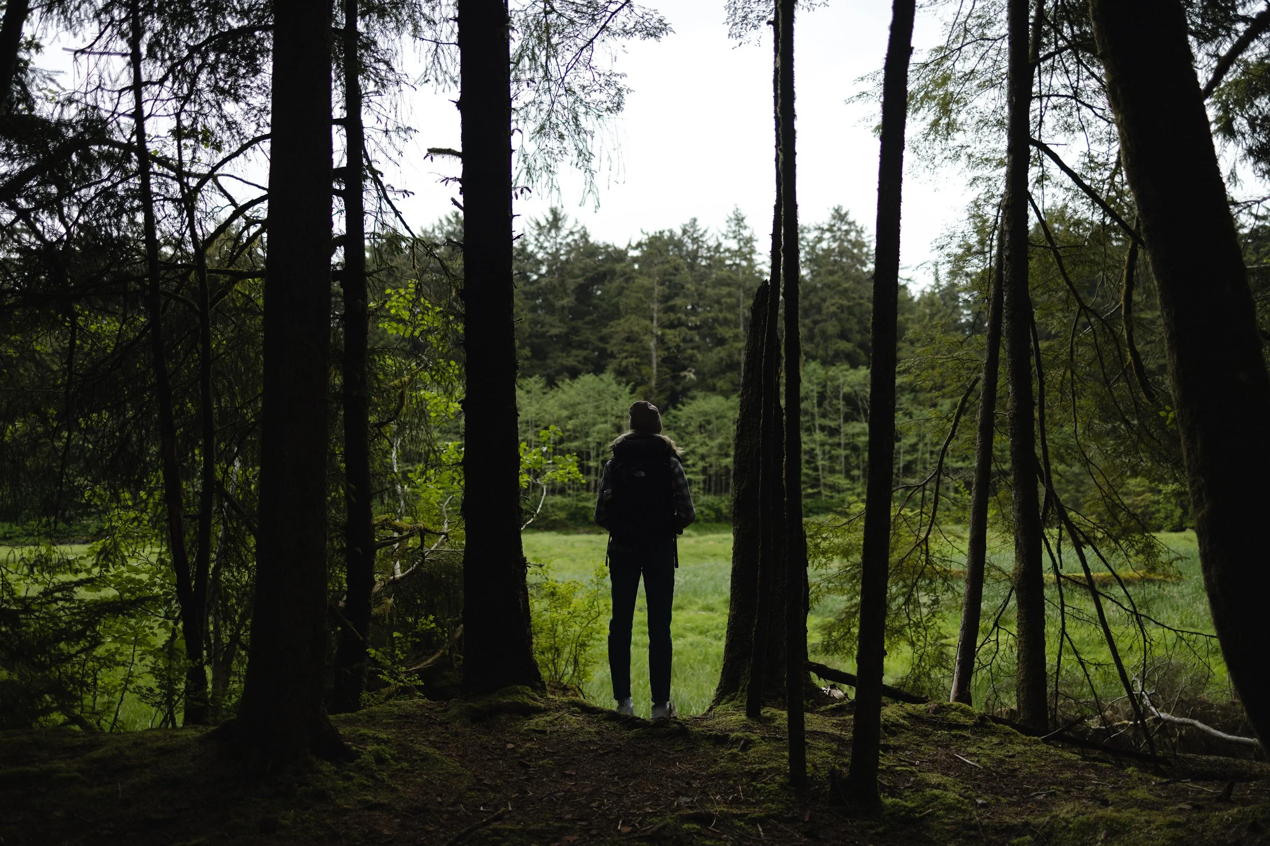 A person wearing a beanie and jacket standing in a forest clearing, viewed through the gaps between tall trees, with a background of lush green trees and overcast sky.