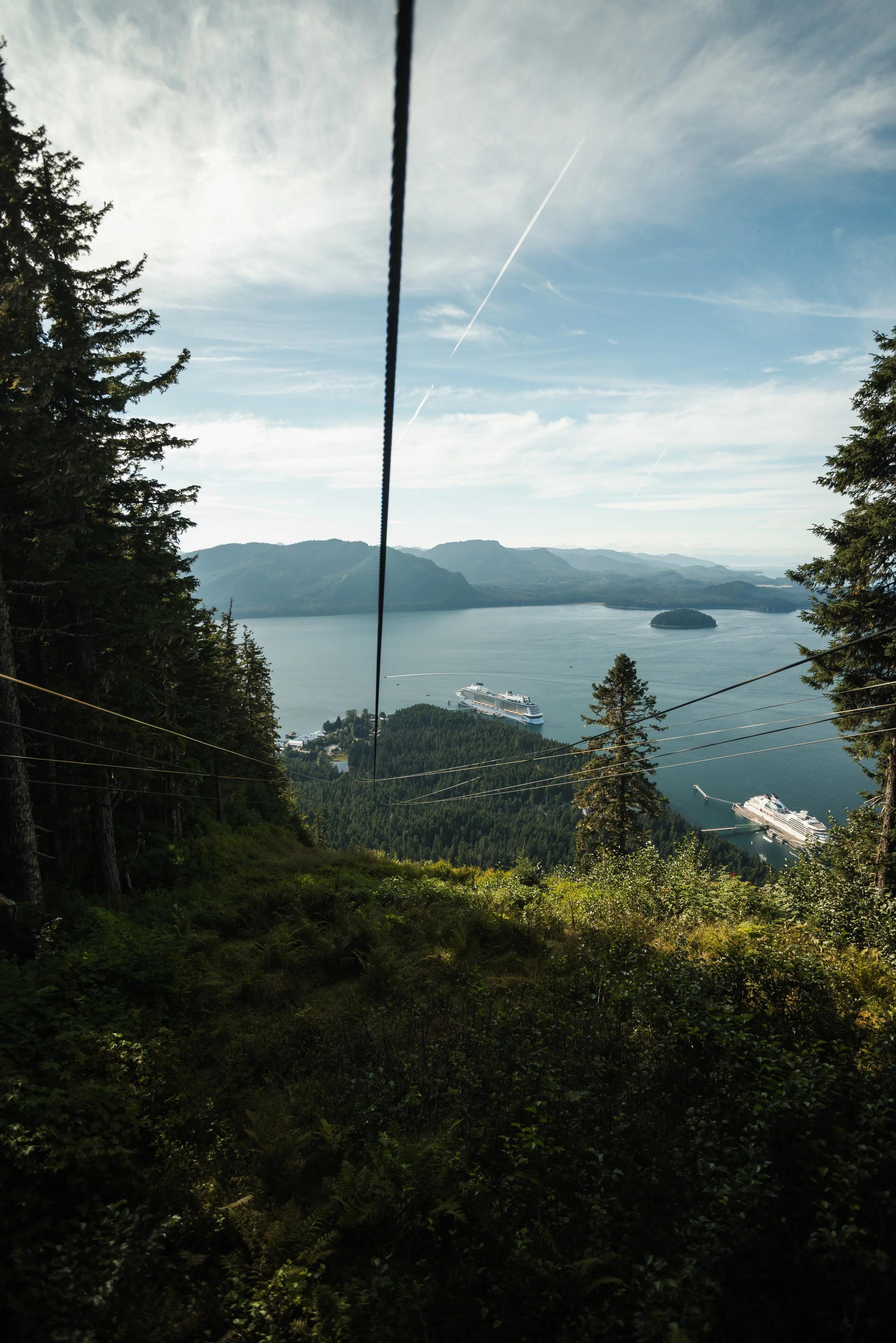 View of a park or hillside with dense trees, overlooking a body of water with two cruise ships docked, mountains in the background, and a partly cloudy sky with contrails.