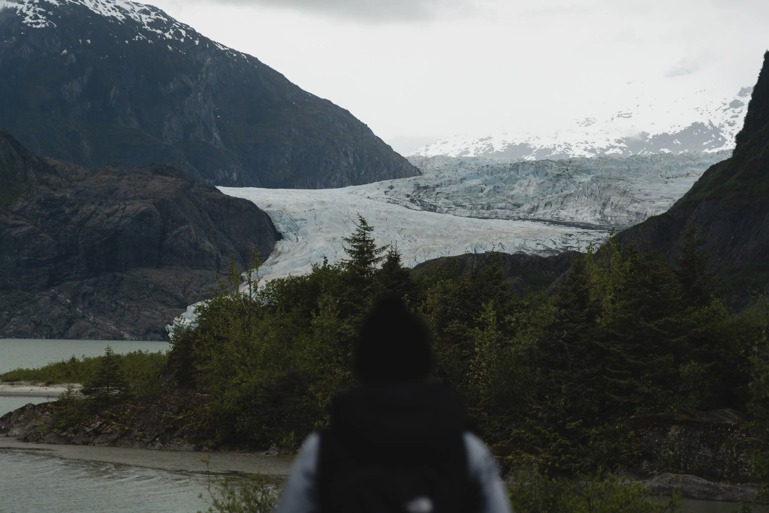 View of a glacier surrounded by mountains with snow on top, with green trees and a body of water in the foreground.