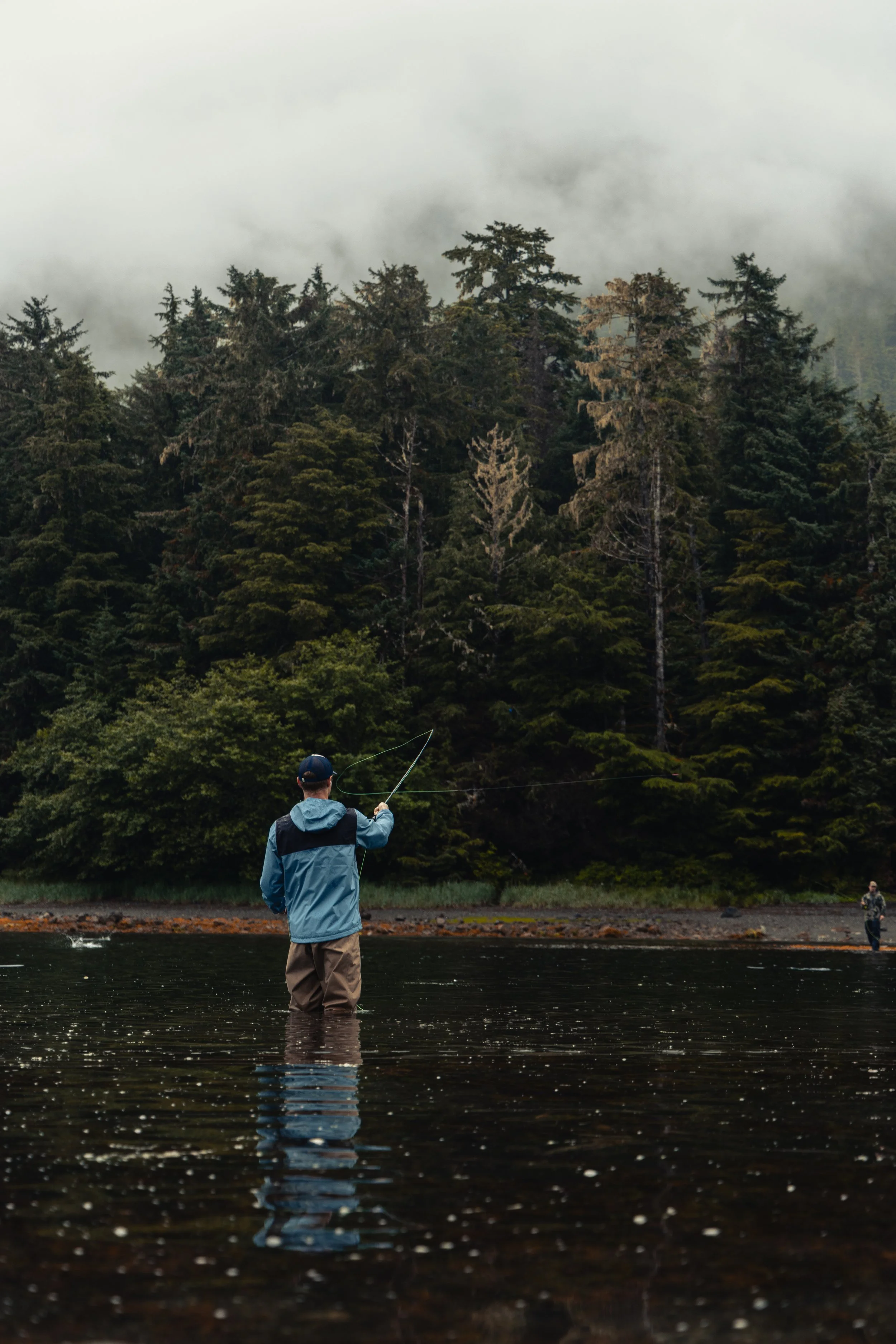 A person standing in a river fishing, with a large forest and cloudy sky in the background.