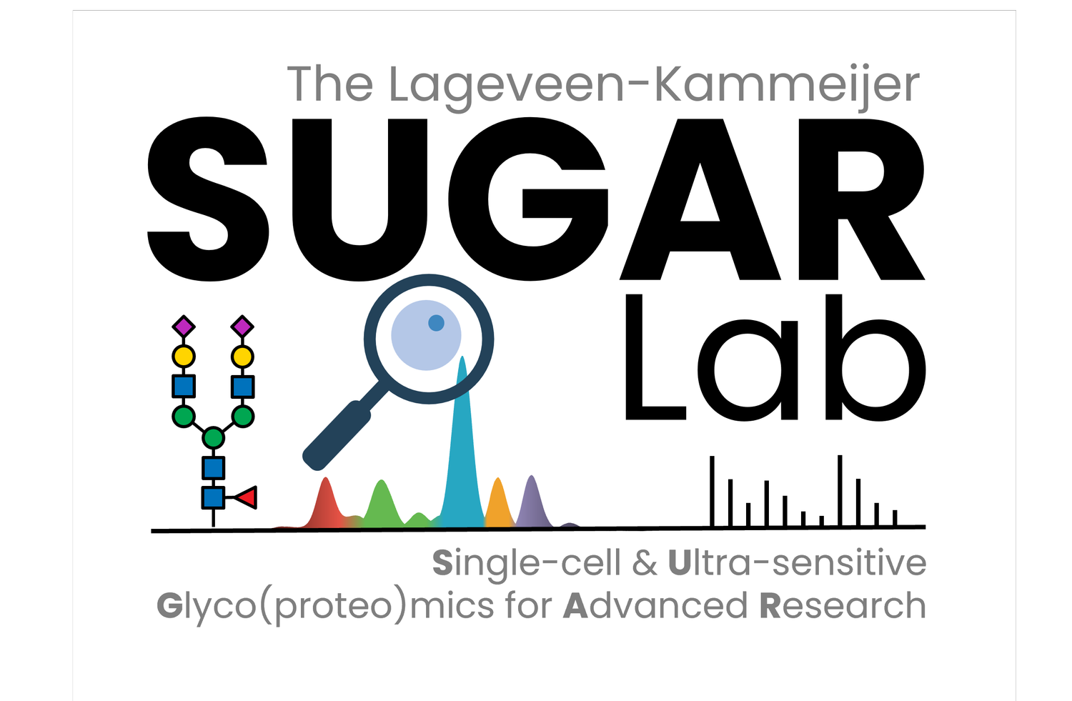 The Lageveen-Kammeijer SUGAR Lab (Copy)