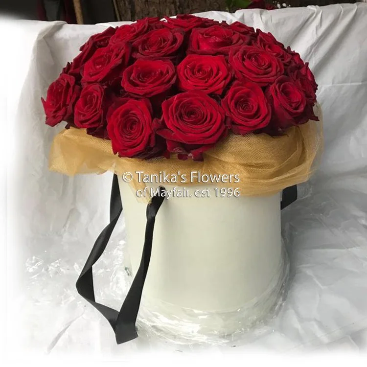 Valentine's Day Roses