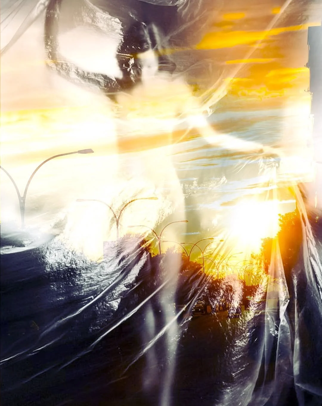 Overlay of a black and white cat's face and upper body on a sunset scene with streetlights, trees, and a road with plastic wrap crinkled across the image.