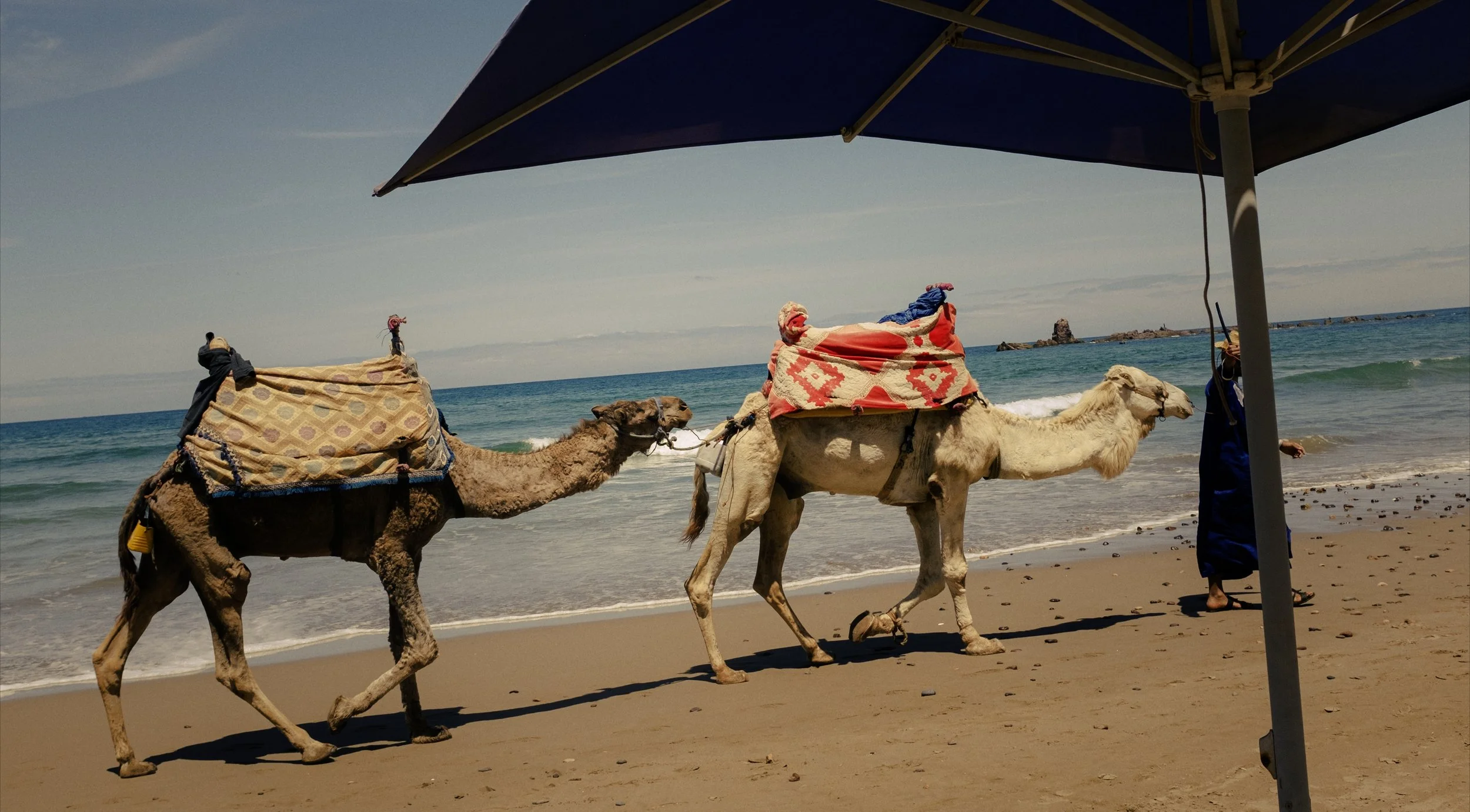 Still 2025-05-18 180006_2.10.1.jpg