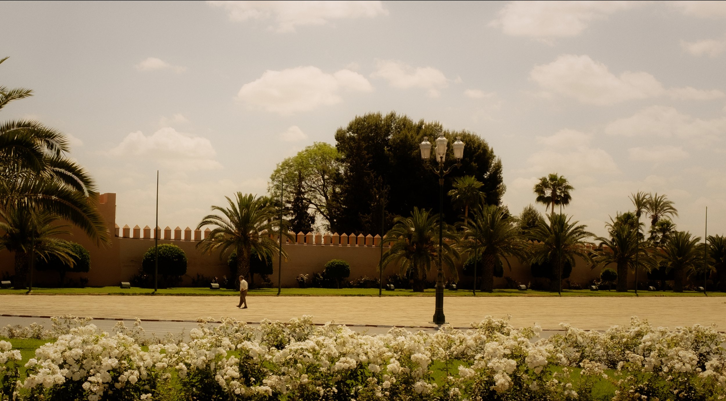 Still 2025-05-18 180006_2.3.1.jpg