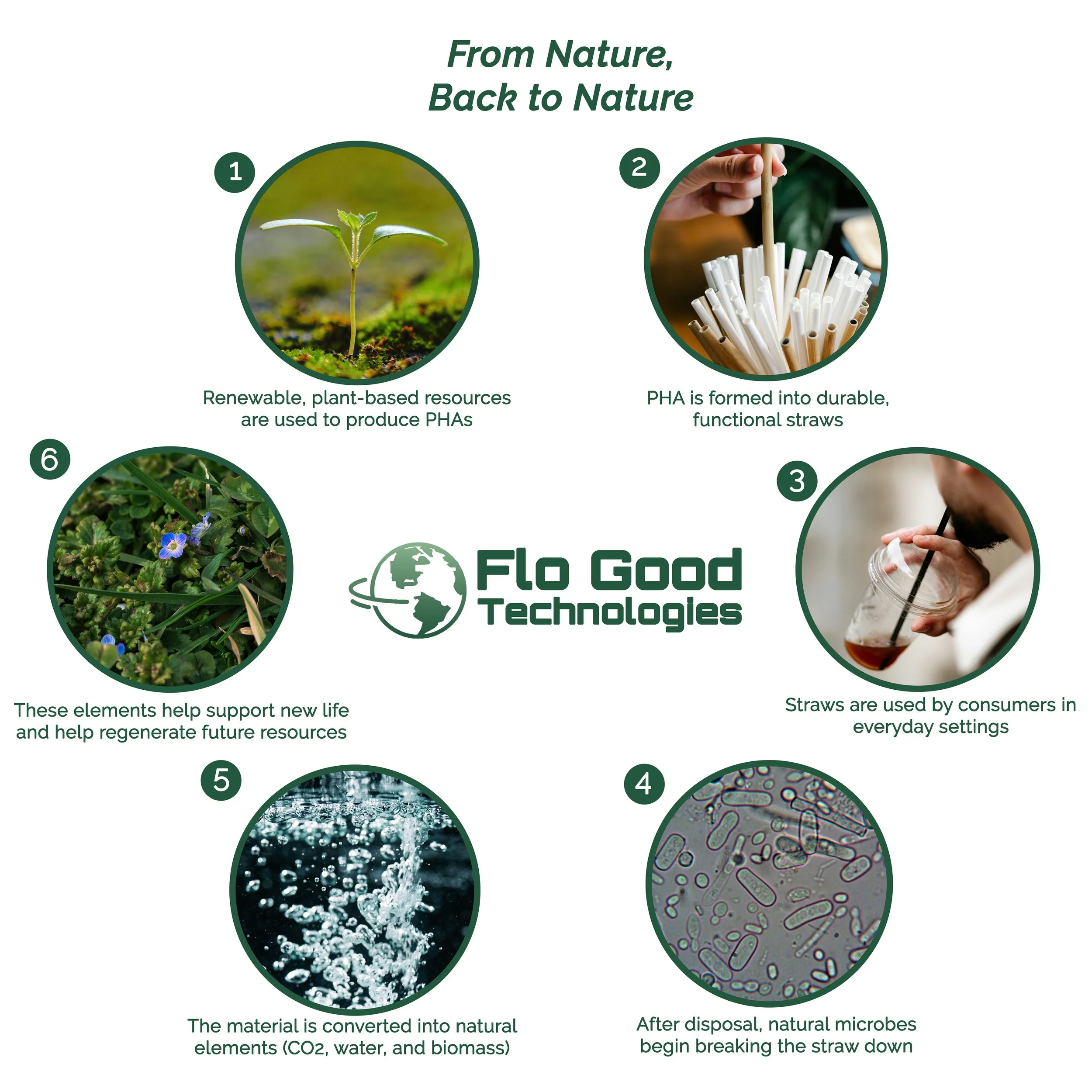 A diagram explaining the process of creating biodegradable straws from plants. It shows a young plant, the plant's fibers being processed into straws, and microbes breaking down the straws after disposal.