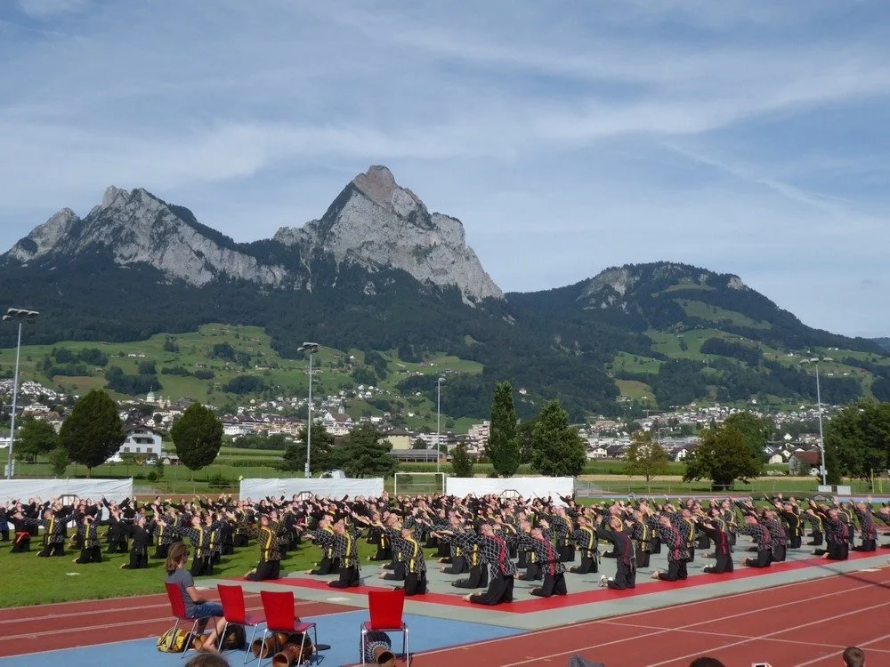 Group of people practicing synchronized martial arts or dance on a field with mountains in the background.