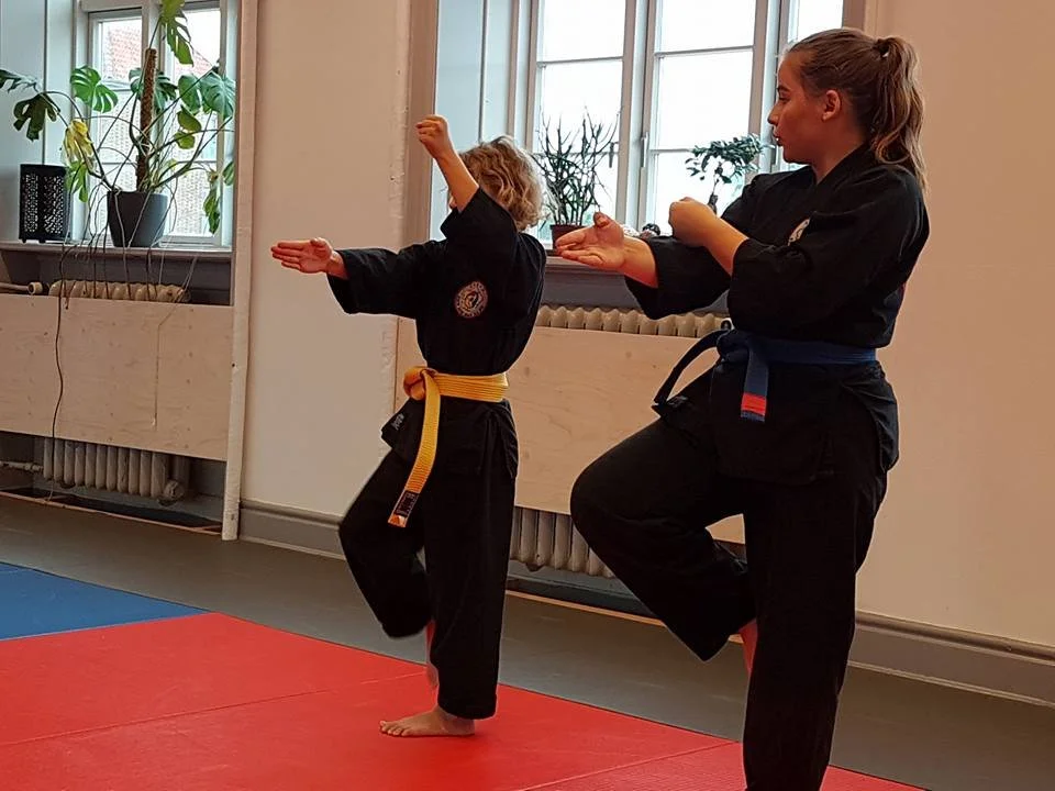 An instructor and a young student practicing martial arts, both wearing black uniforms with belts, inside a dojo with mats and windows.