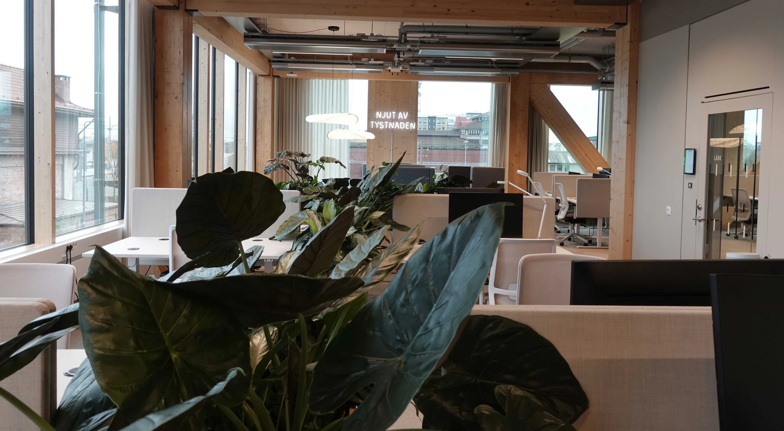 Arena Magasin X - Kontorslandskap - Ljudmaskering - växter - lugnt.jpg