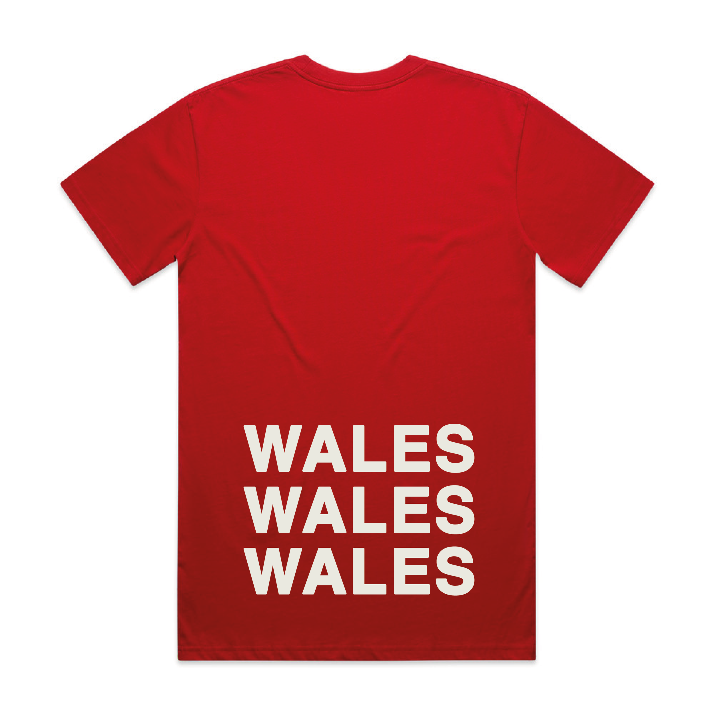 Unofficial Cymru T Jan low-04.png