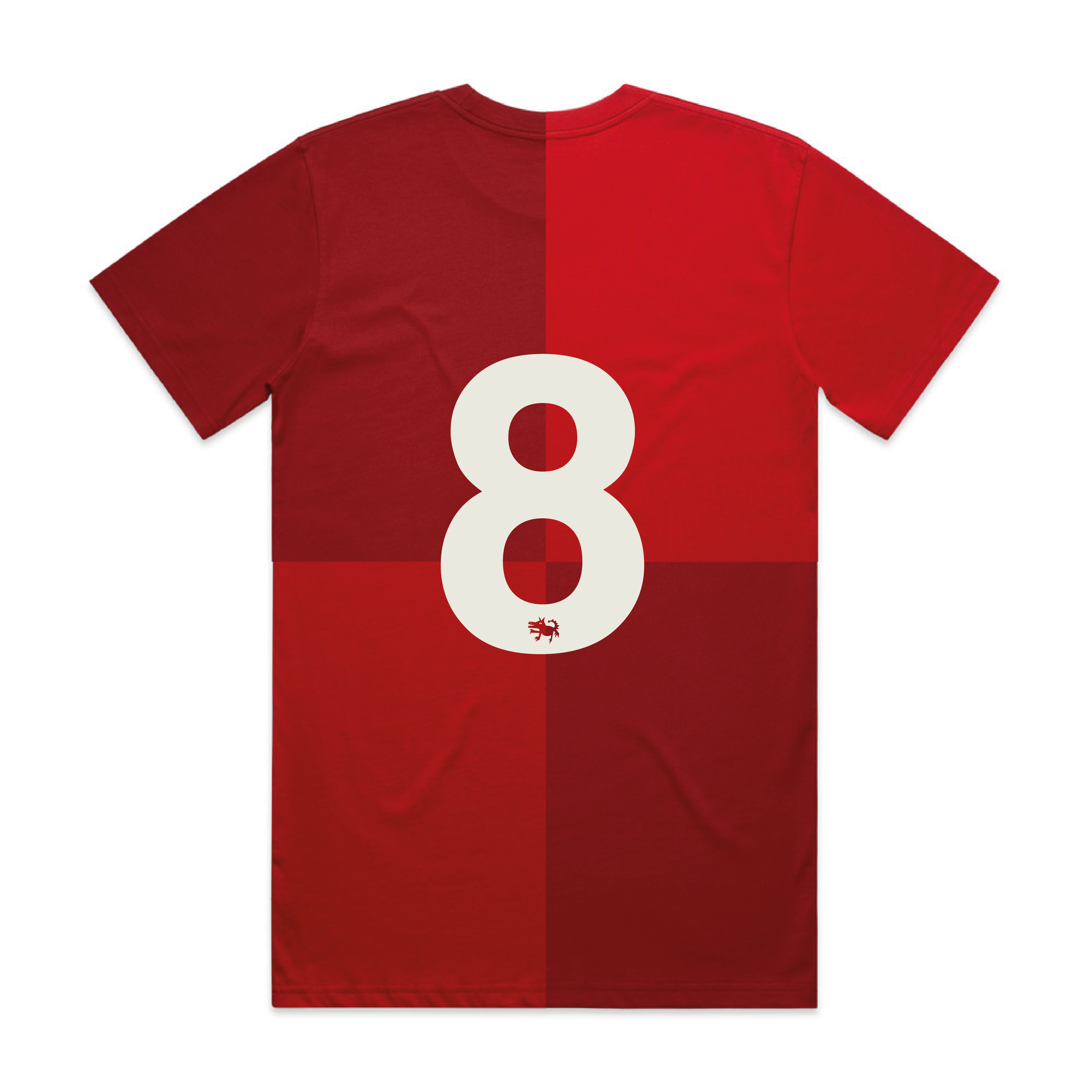 Unofficial Cymru T Jan low-06.png