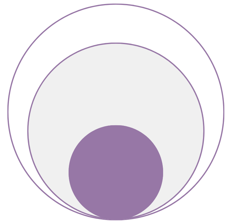 A layered stylized onion highlighting the core layer