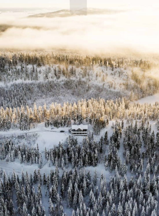 A snow-covered forest with a house in the middle, taken during winter with fog and sunlight.