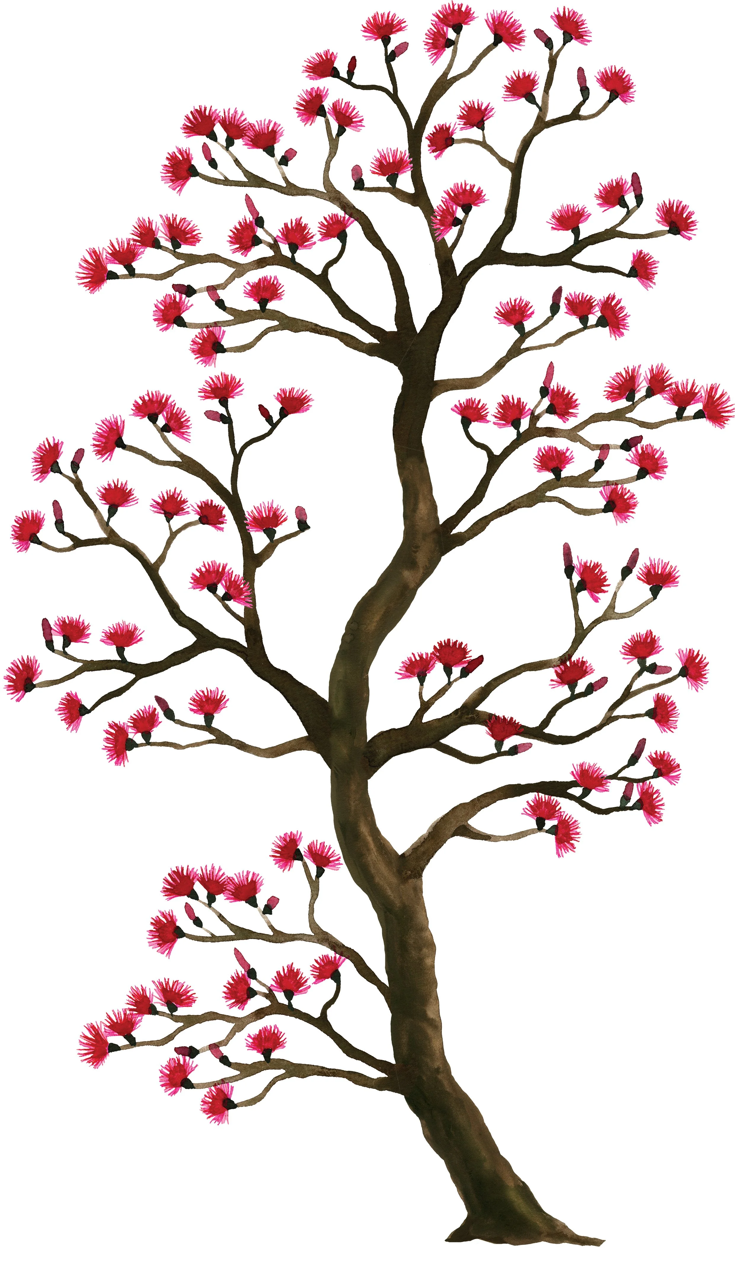 BOMBAX Custom 210x360 rendu.jpg