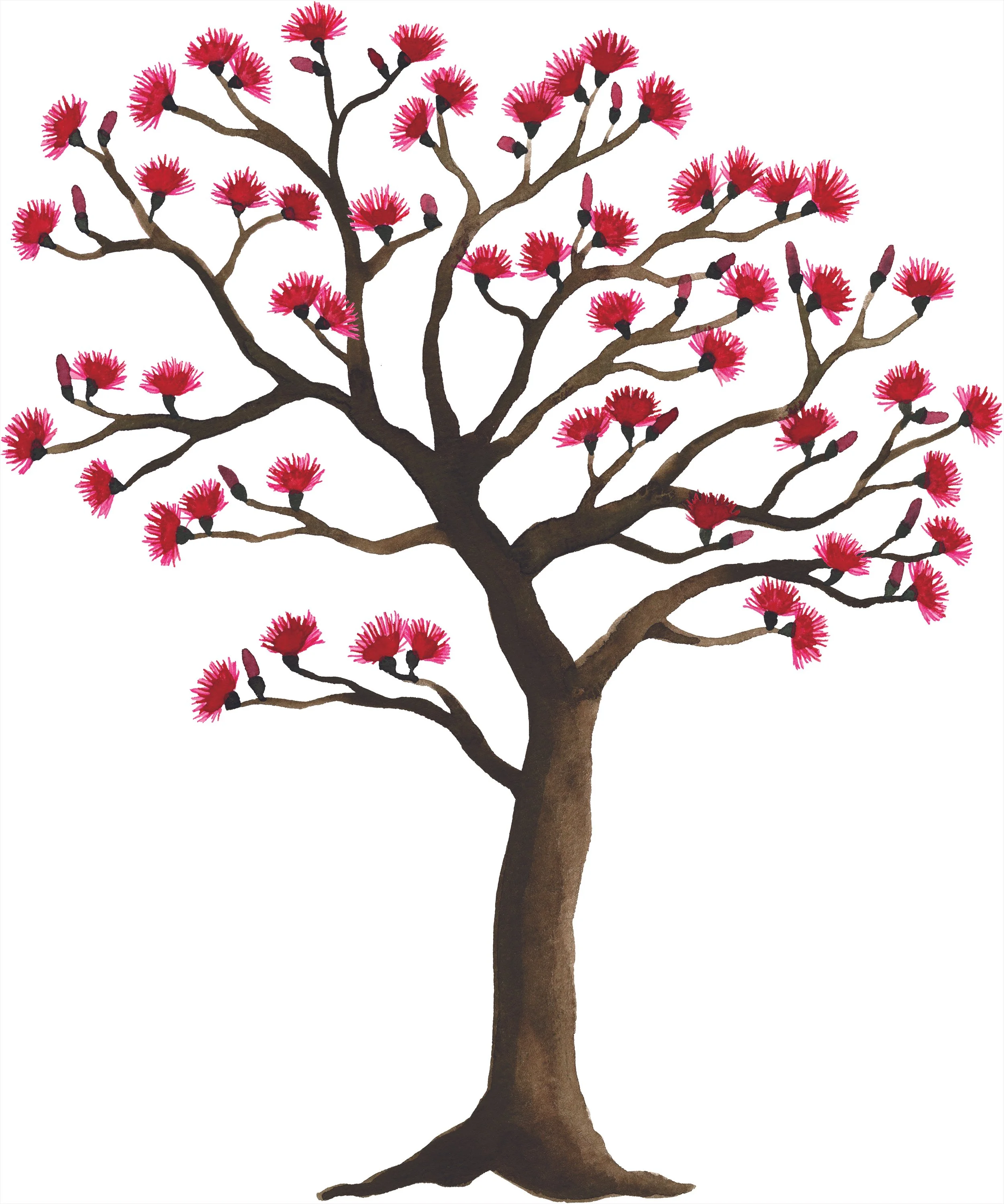 Bombax 240x200 dpi50.jpg