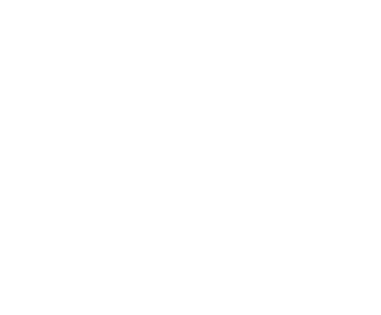 Camp Consulting logo