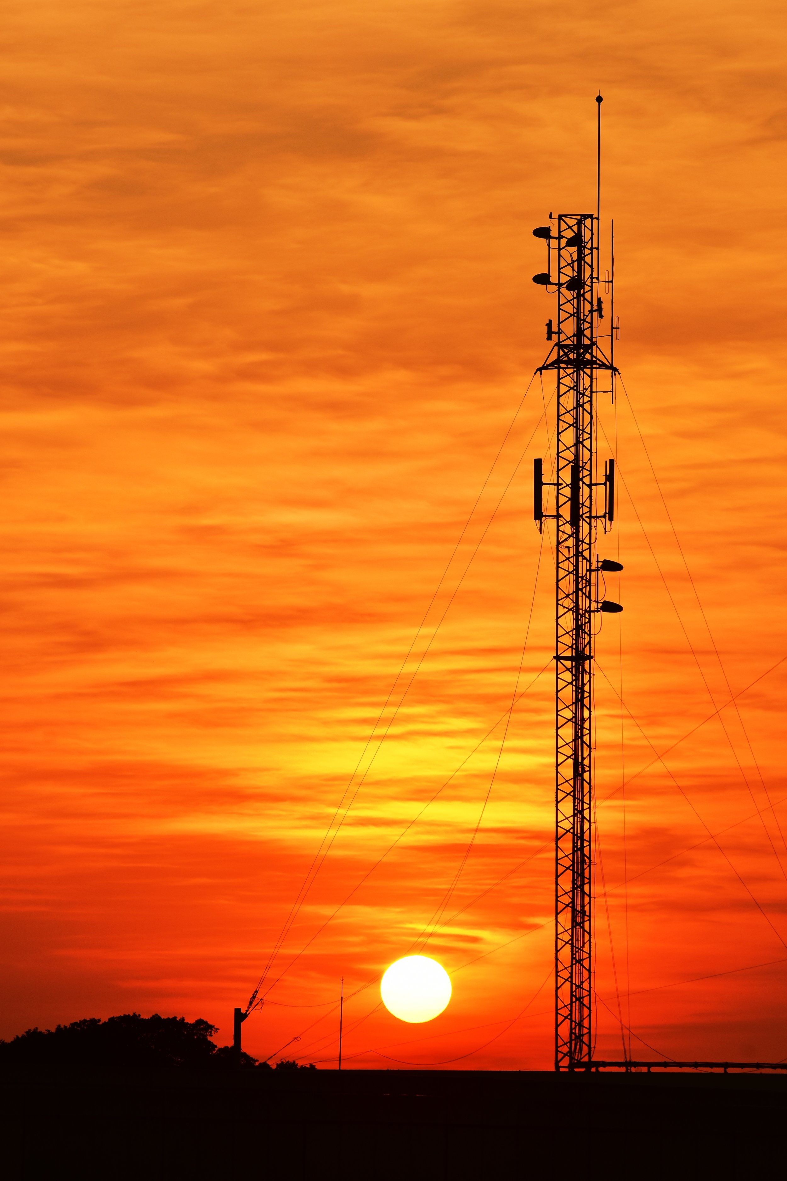 With LinesforLifts you can rest assured that you, your customers and passengers at in the safest of hands