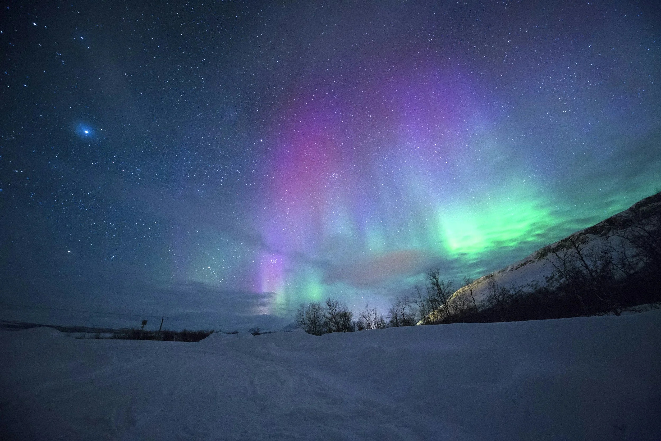 Night sky with stars and colorful aurora borealis over a snowy landscape with silhouettes of trees.