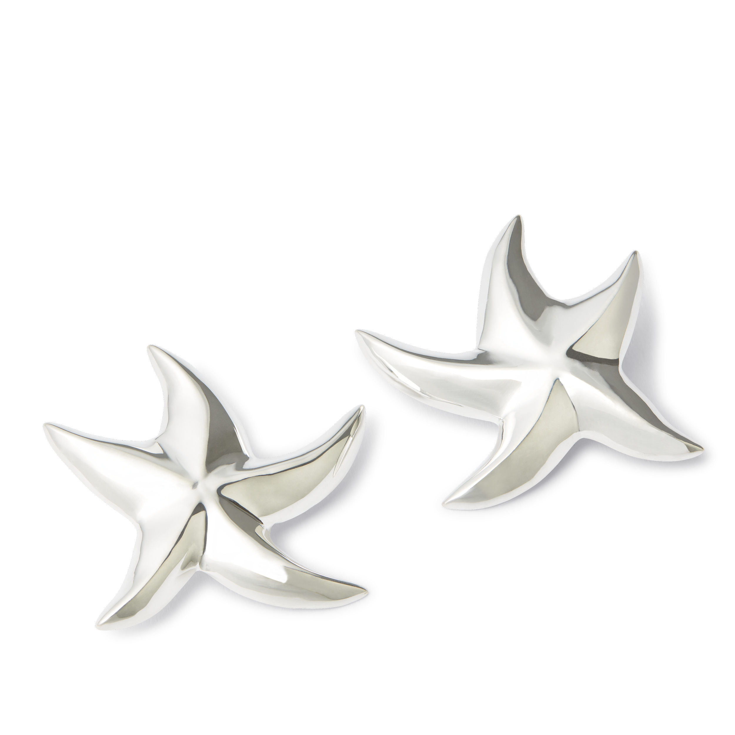 TR Star Earrings Silver.png