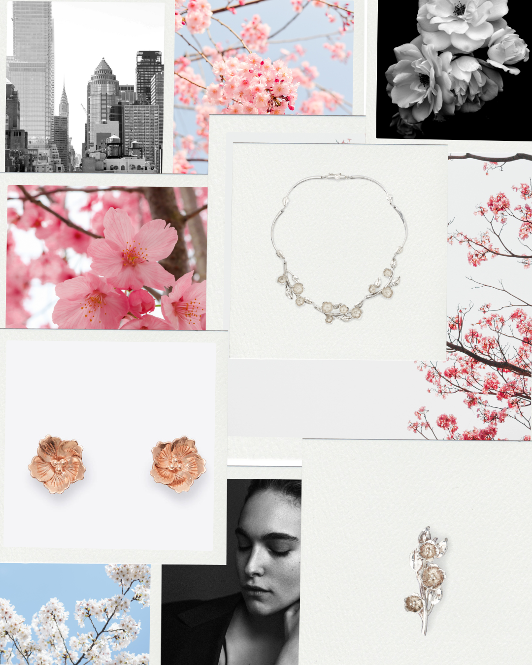 Cherry Blossom_TR2.png