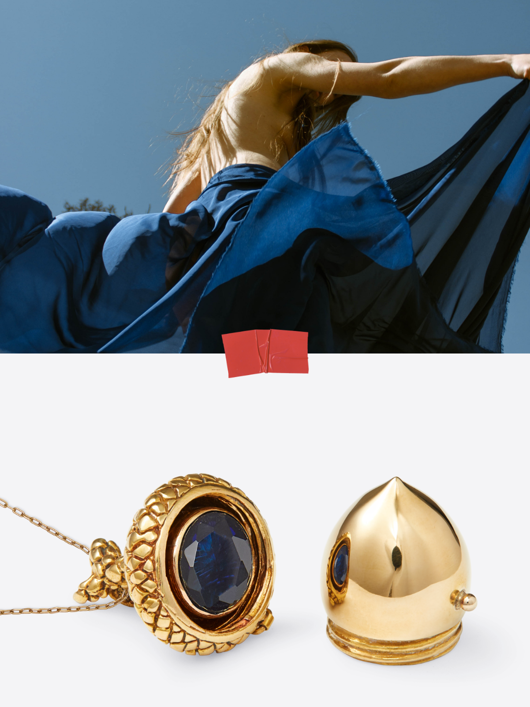 ACORNS Campaign 202613.png