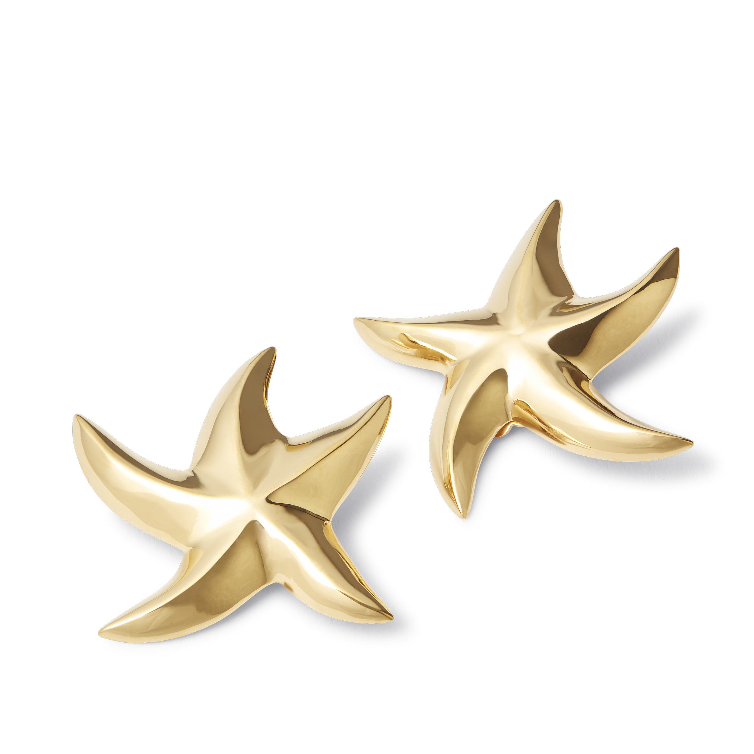 TR Star Earrings.png