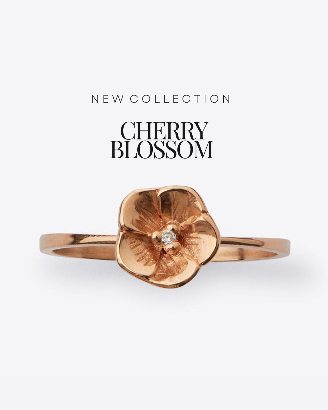 Cherry Blossom_TR10.png