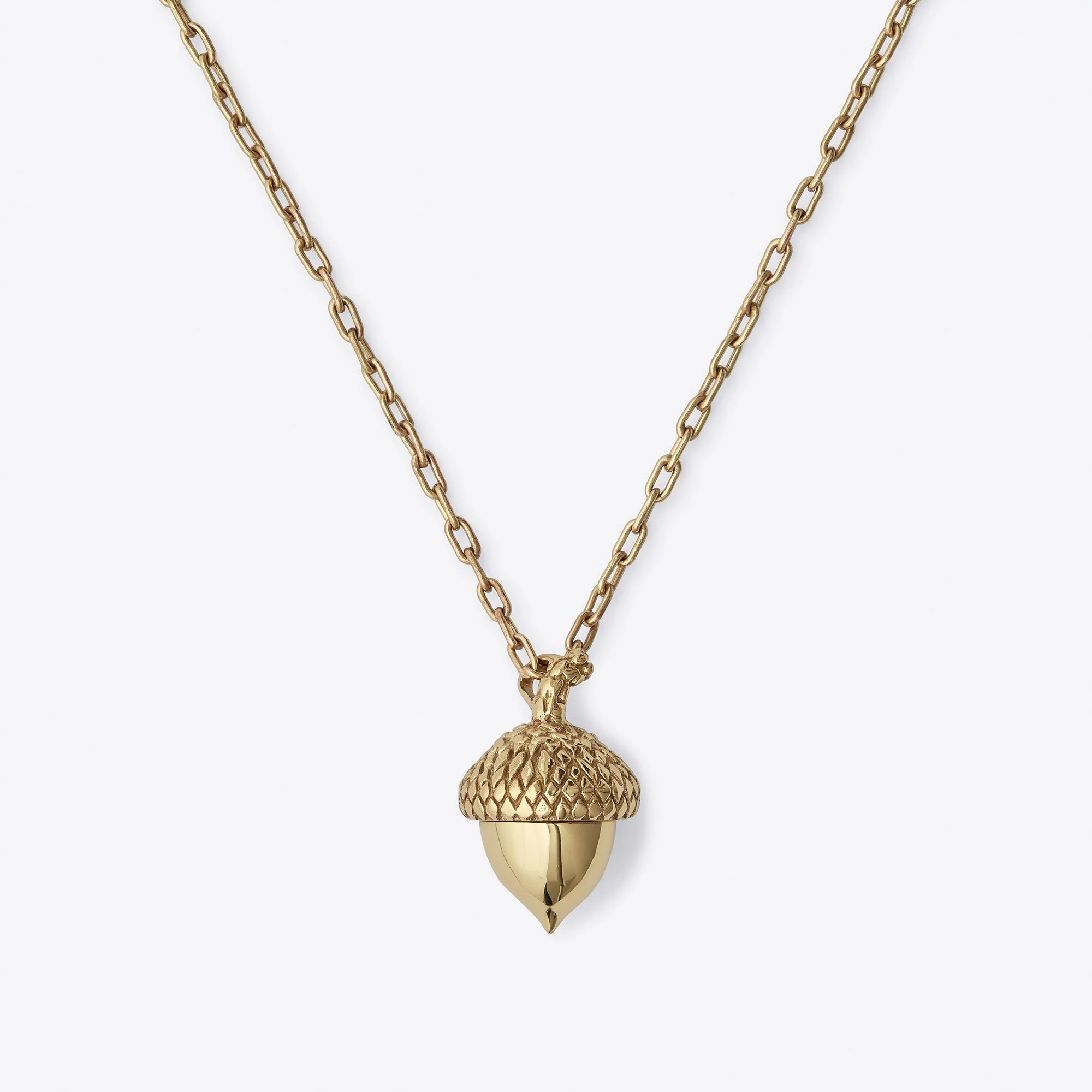 MEDIUM Acorn by Tarra Rosenbaum.jpg