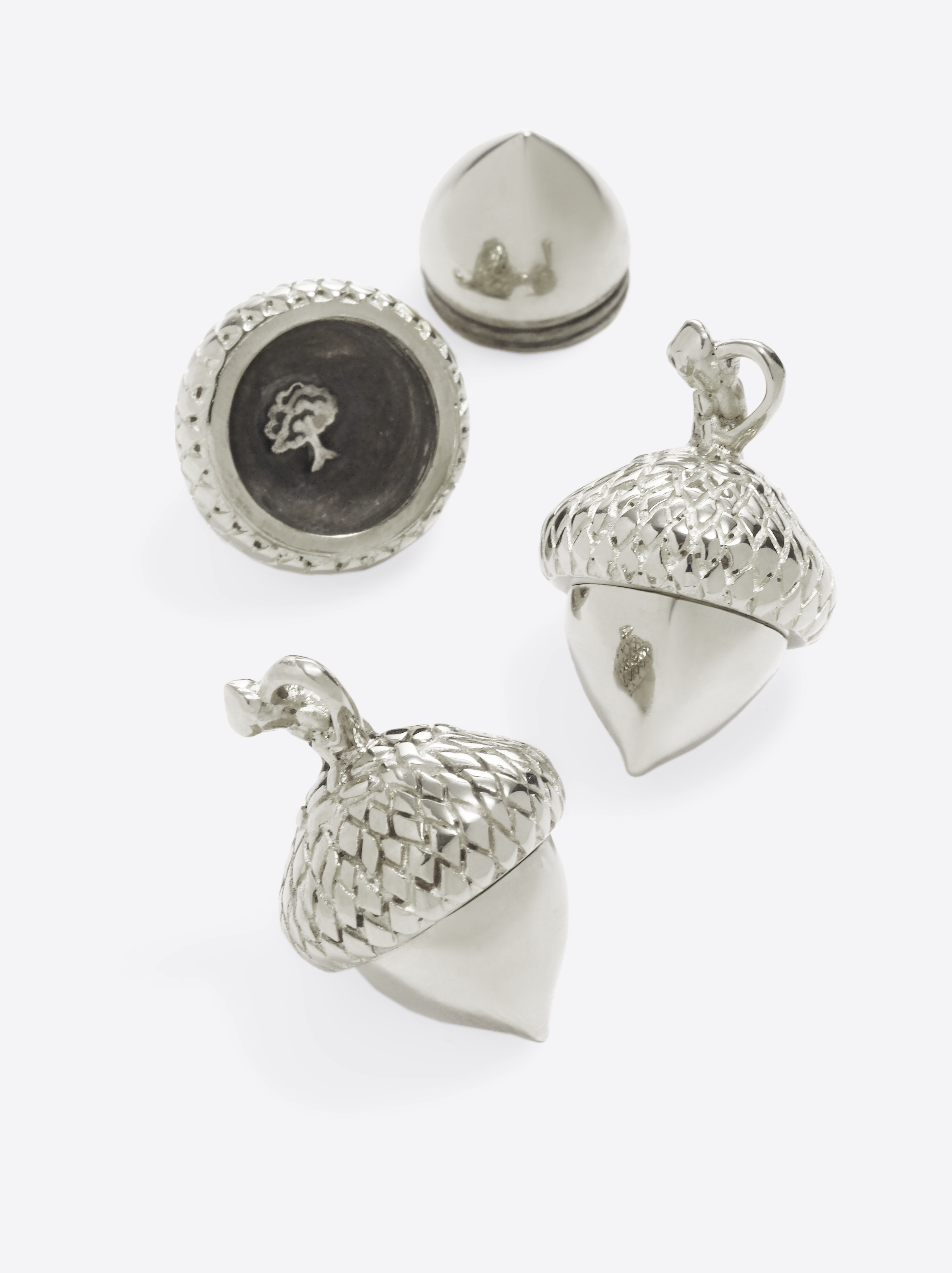 2026-09-07_Medium_acorn_with_path_Silver copy.png