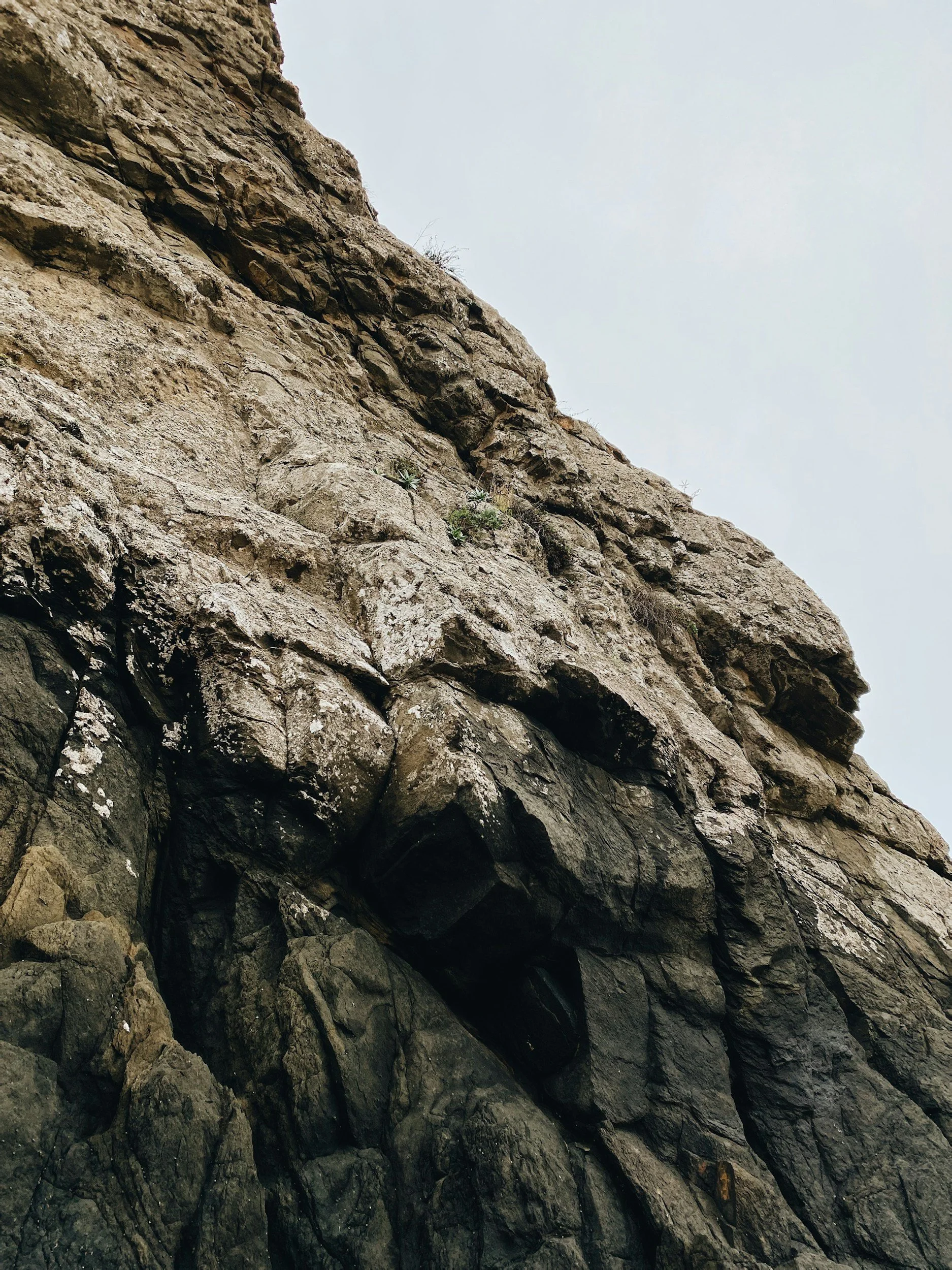 A large rocky cliff showing layered and weathered limestone formations with some small plants growing in crevices, against an overcast sky.