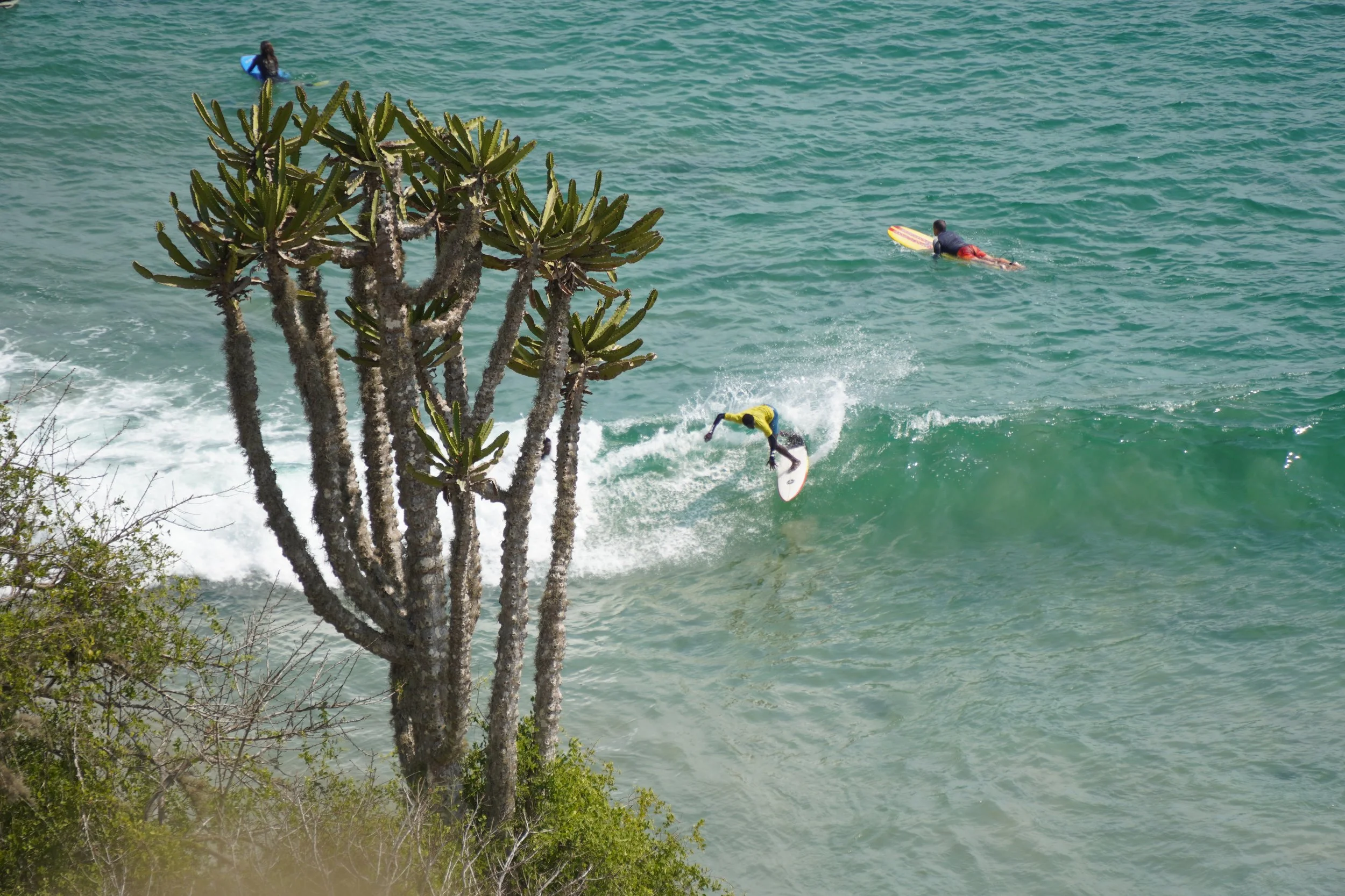 Angola Time to Surf Surf Trip Img