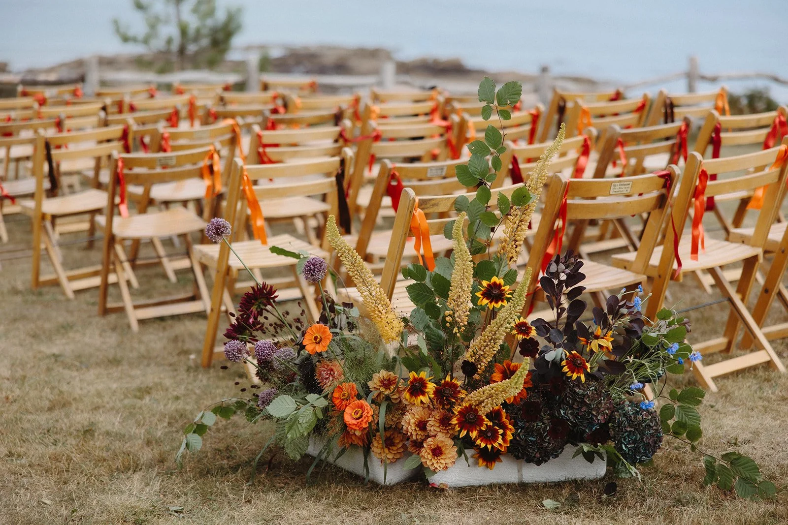 Edie and Kai - Previews - Lincoln Pictures-6 (1).jpg