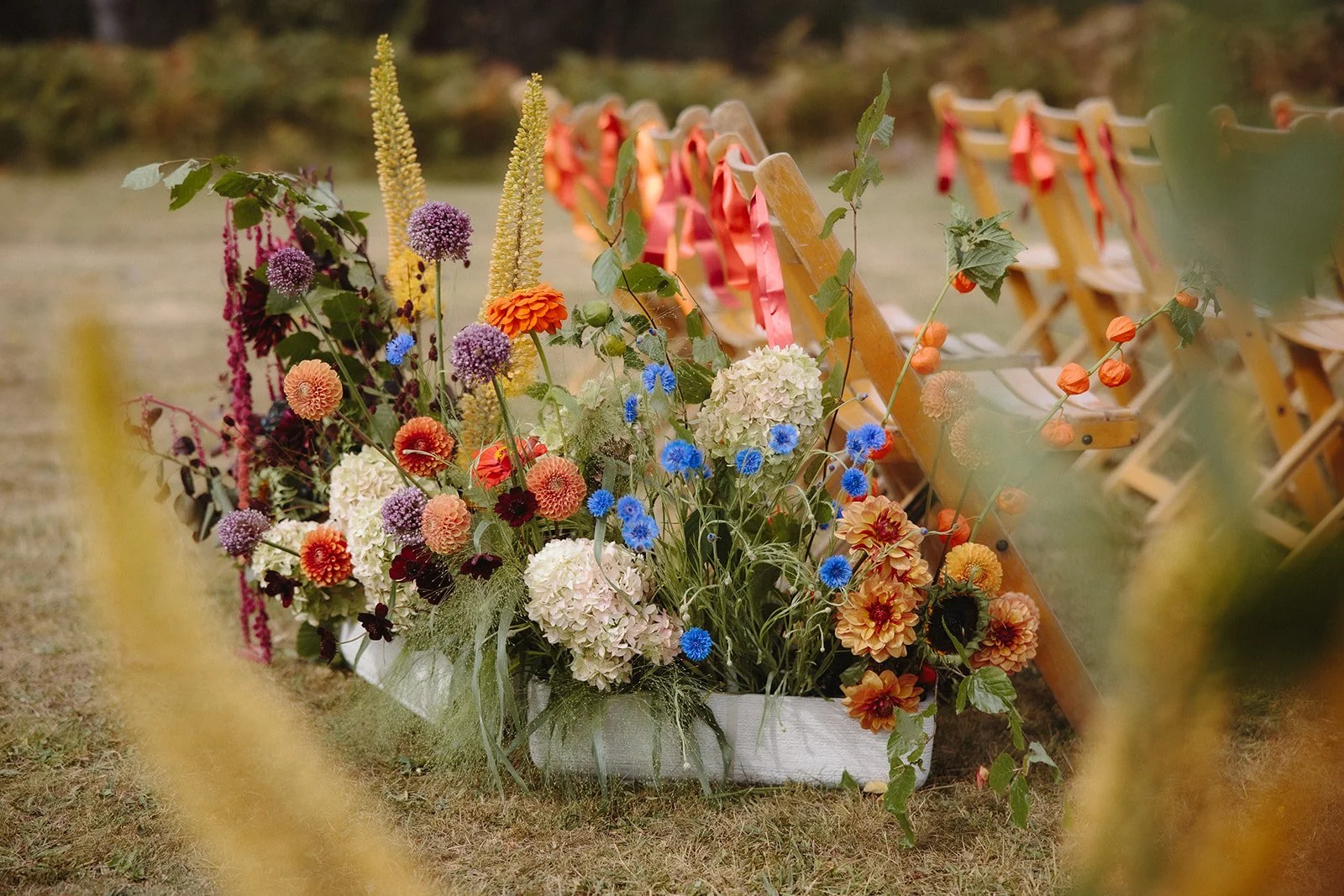 Edie and Kai - Previews - Lincoln Pictures-9 (1).jpg