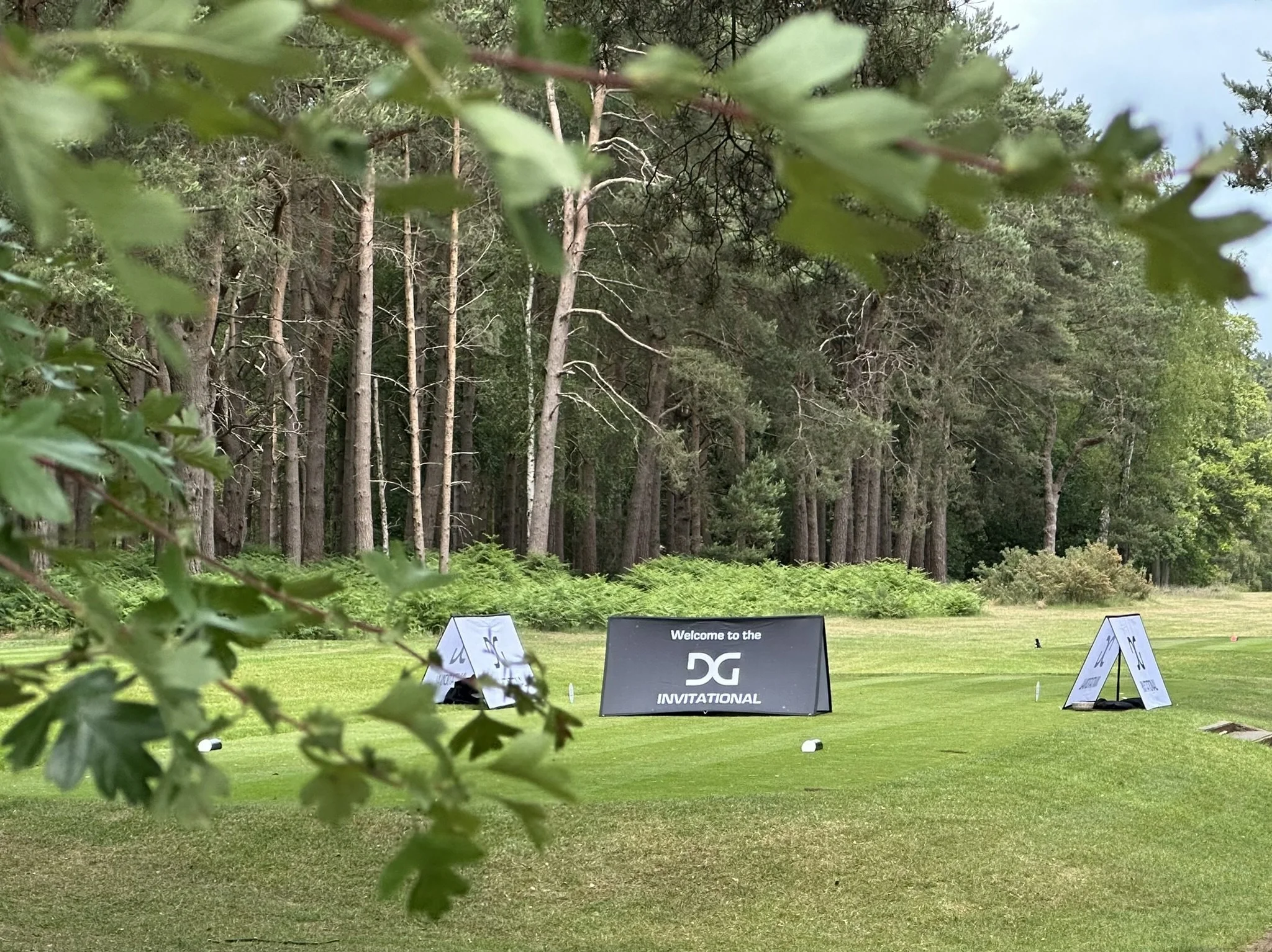 A golf course with a wooded backdrop, signs reading 'Welcome to the DG Invitational,' and a golf tee on the grass, partially framed by leaves in the foreground.