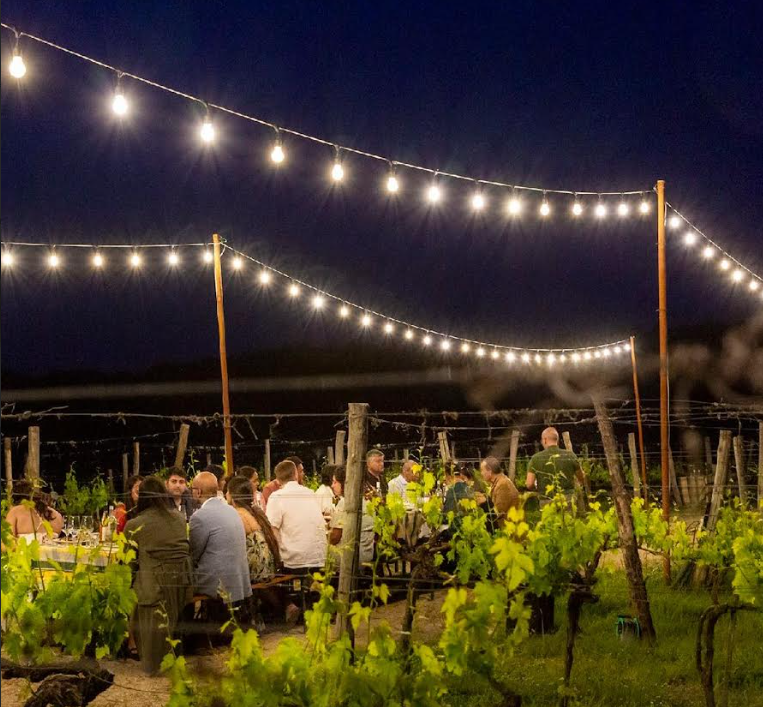 Wine Estate Retreats