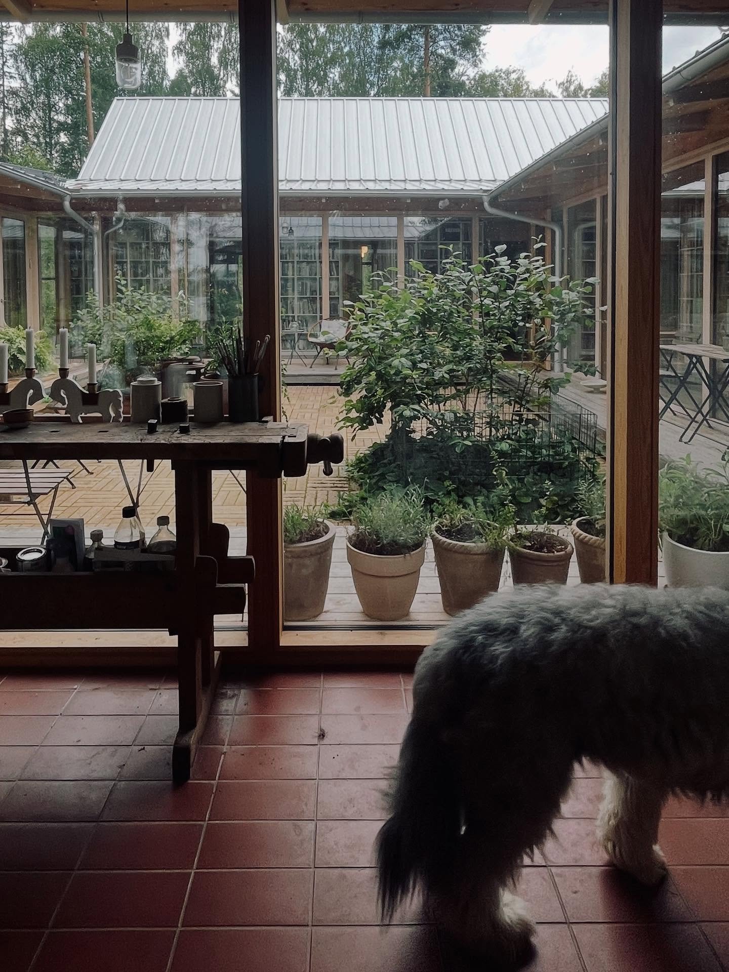 A view of a patio with potted plants outside a glass sliding door, a dog standing on red tiled floor inside, and a rustic wooden table with art supplies inside.