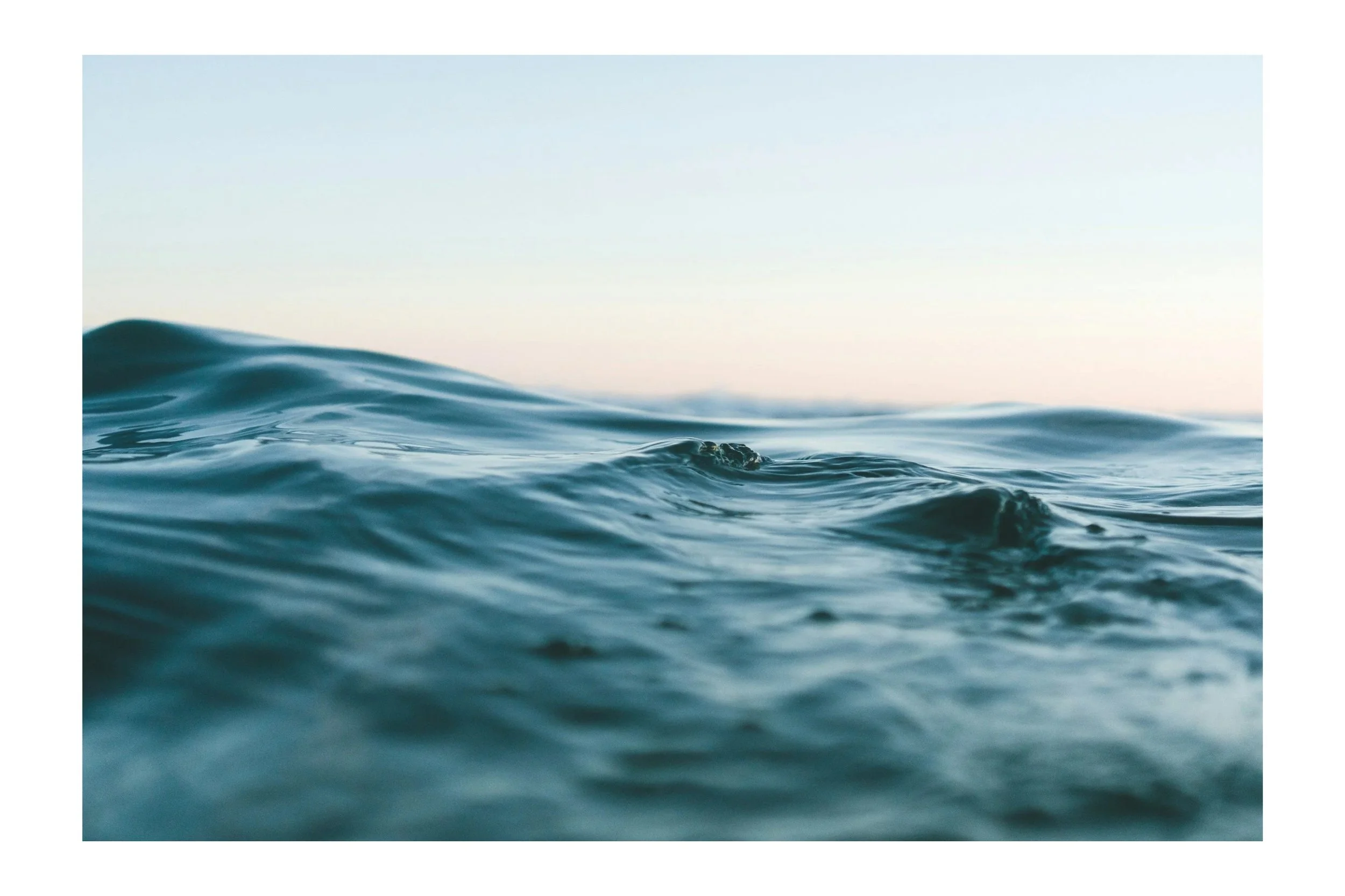 You Are More Than a Trauma Survivor: The Dangerous Vocabulary Keeping You Stuck