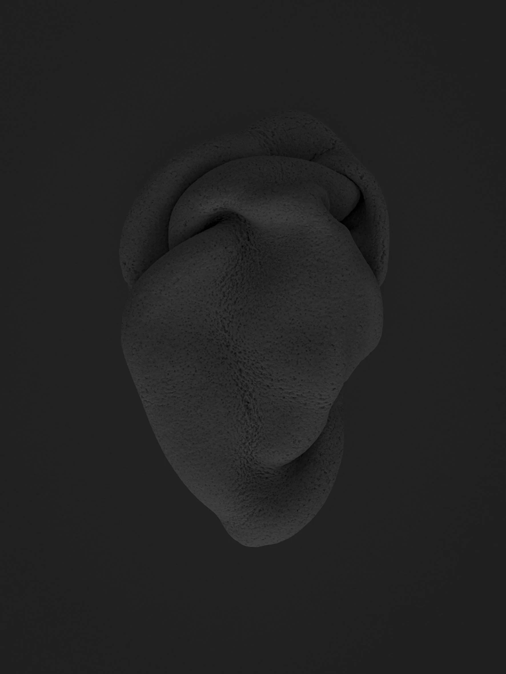 Segermann_Salt-Bodies_01.jpg
