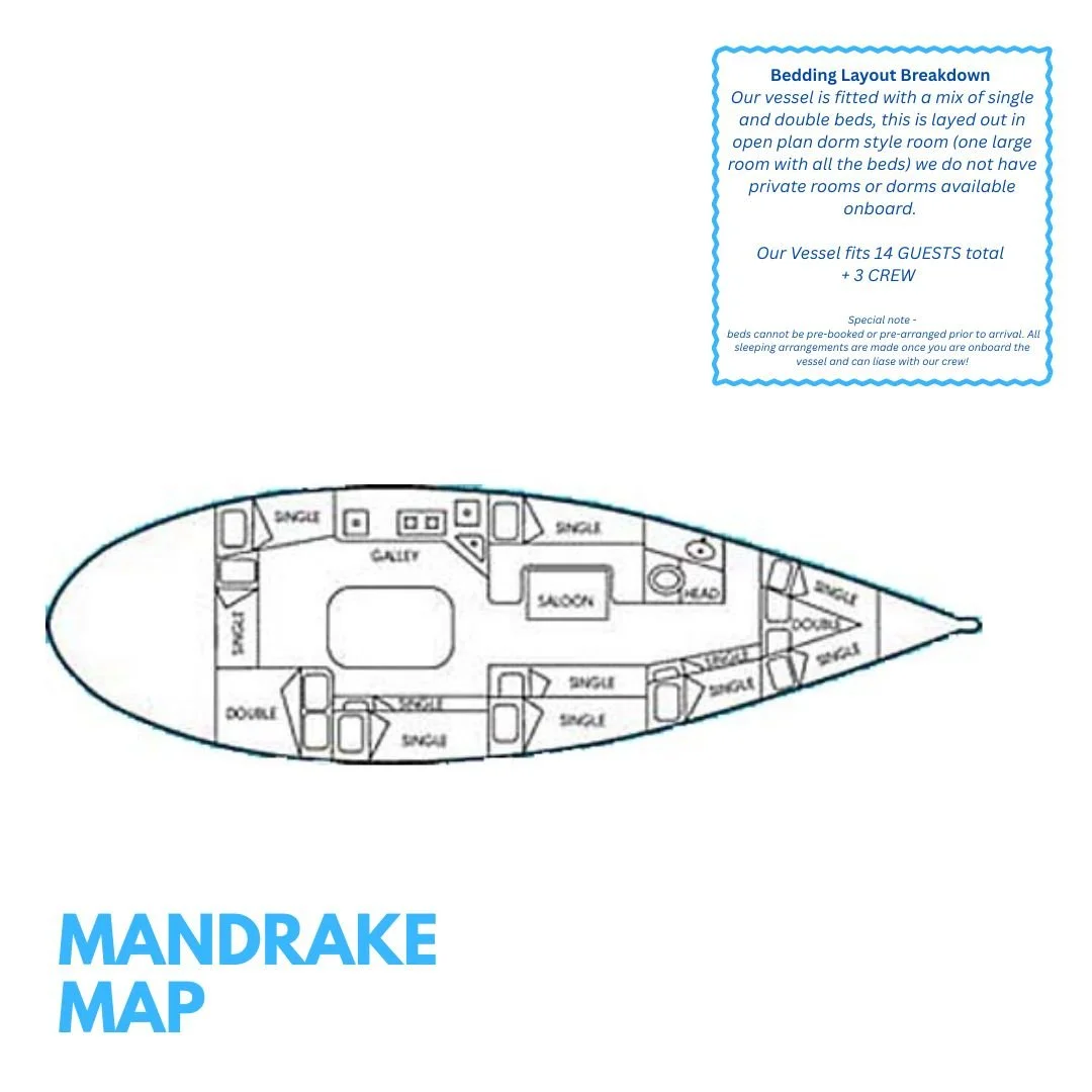 Diagram of a boat's interior with labeled sleeping areas, kitchenette, saloon, and deck, along with a blue text box titled 'Bedding Layout Breakdown' explaining the bed arrangements and guest capacity.