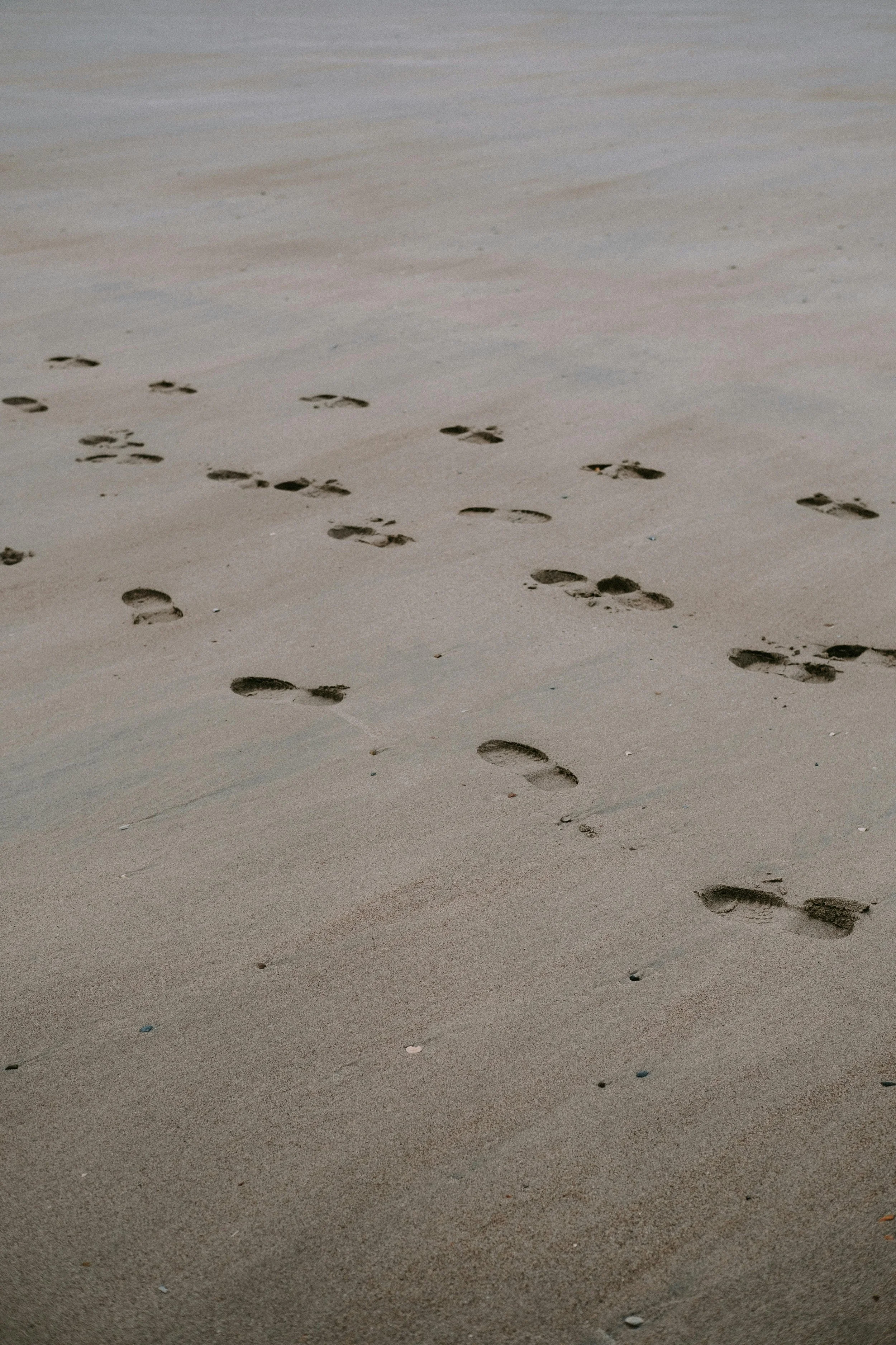 Footprints in the sand on a beach, leading towards the water.