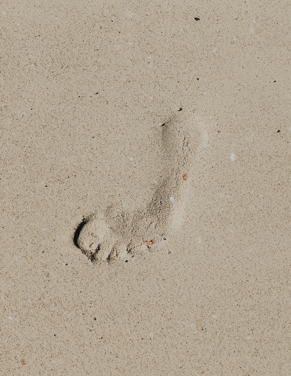 Single human footprint in the sand.