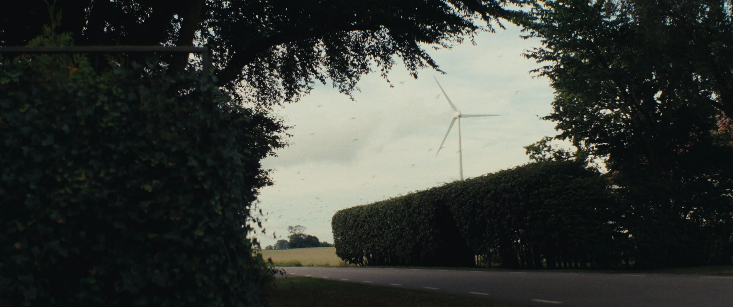 Still 2025-09-09 115334_1.51.1.jpg