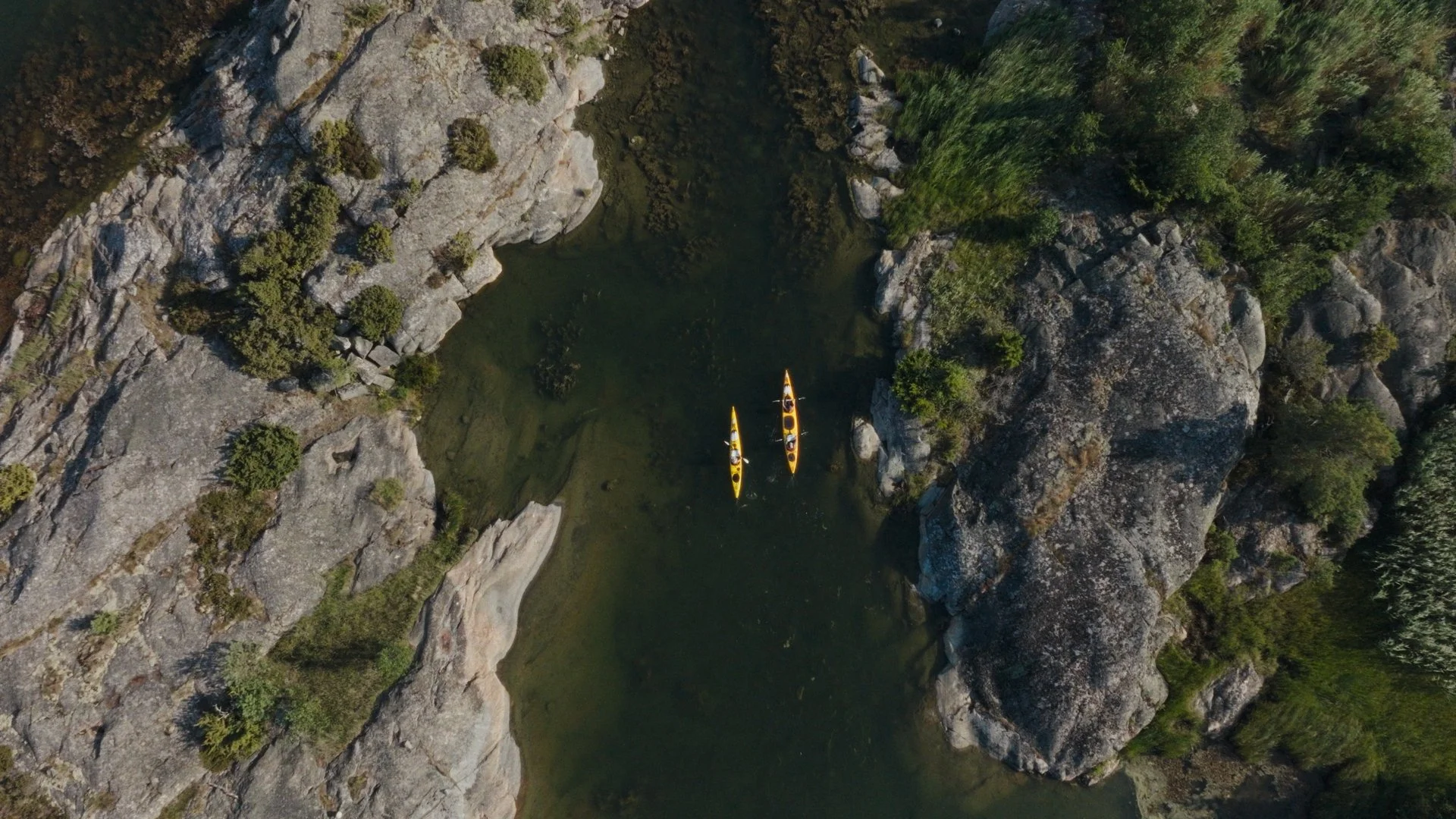 Still 2025-07-25 161017_1.218.1.jpg