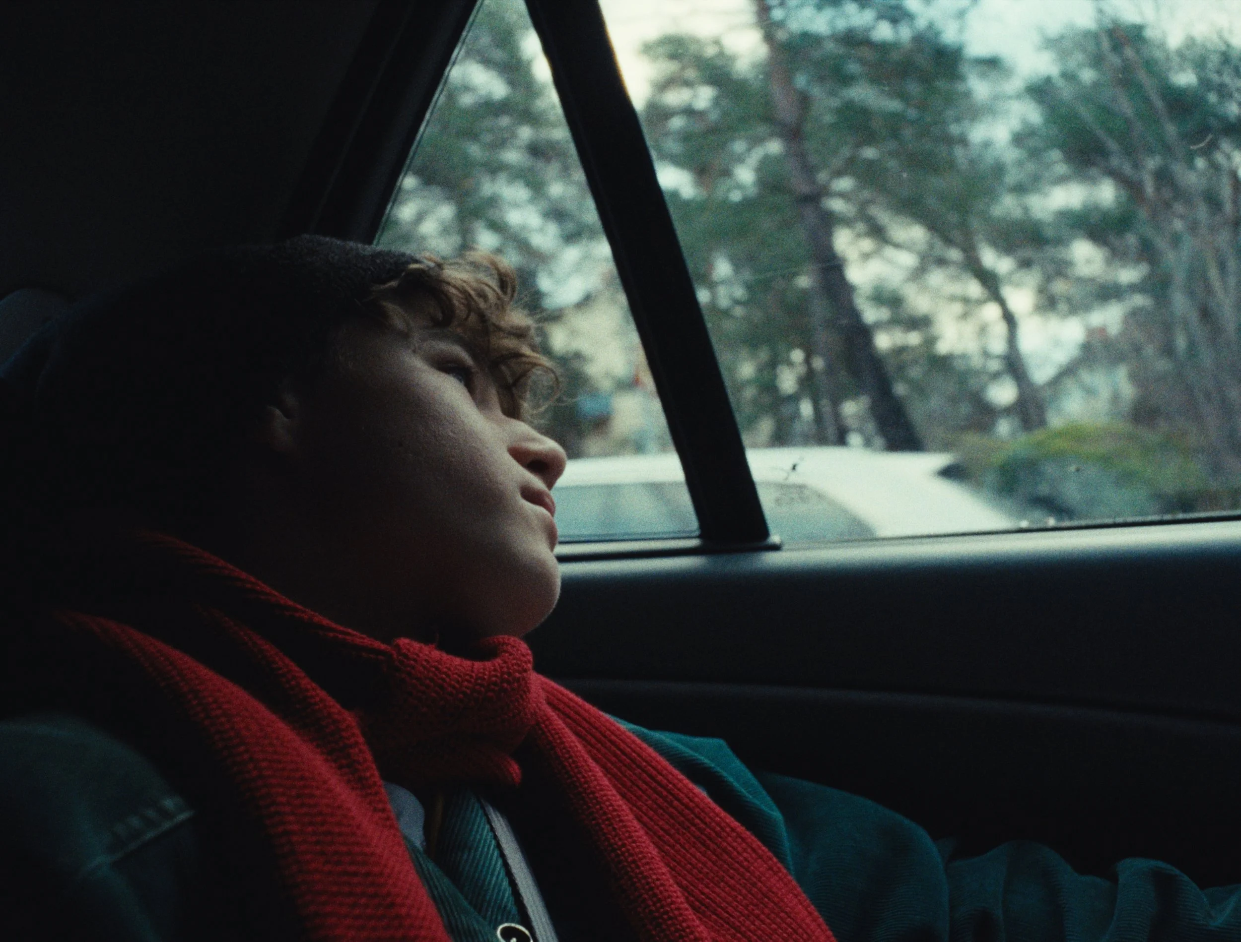 Still 2025-12-03 151909_1.58.1.jpg