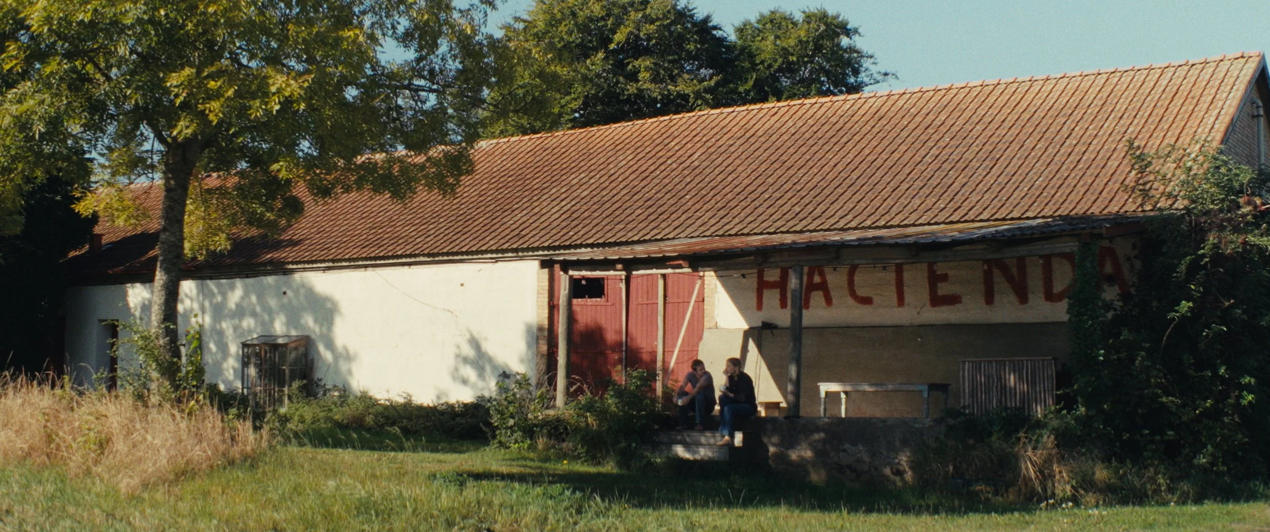 Still 2025-09-09 115334_1.256.1.jpg