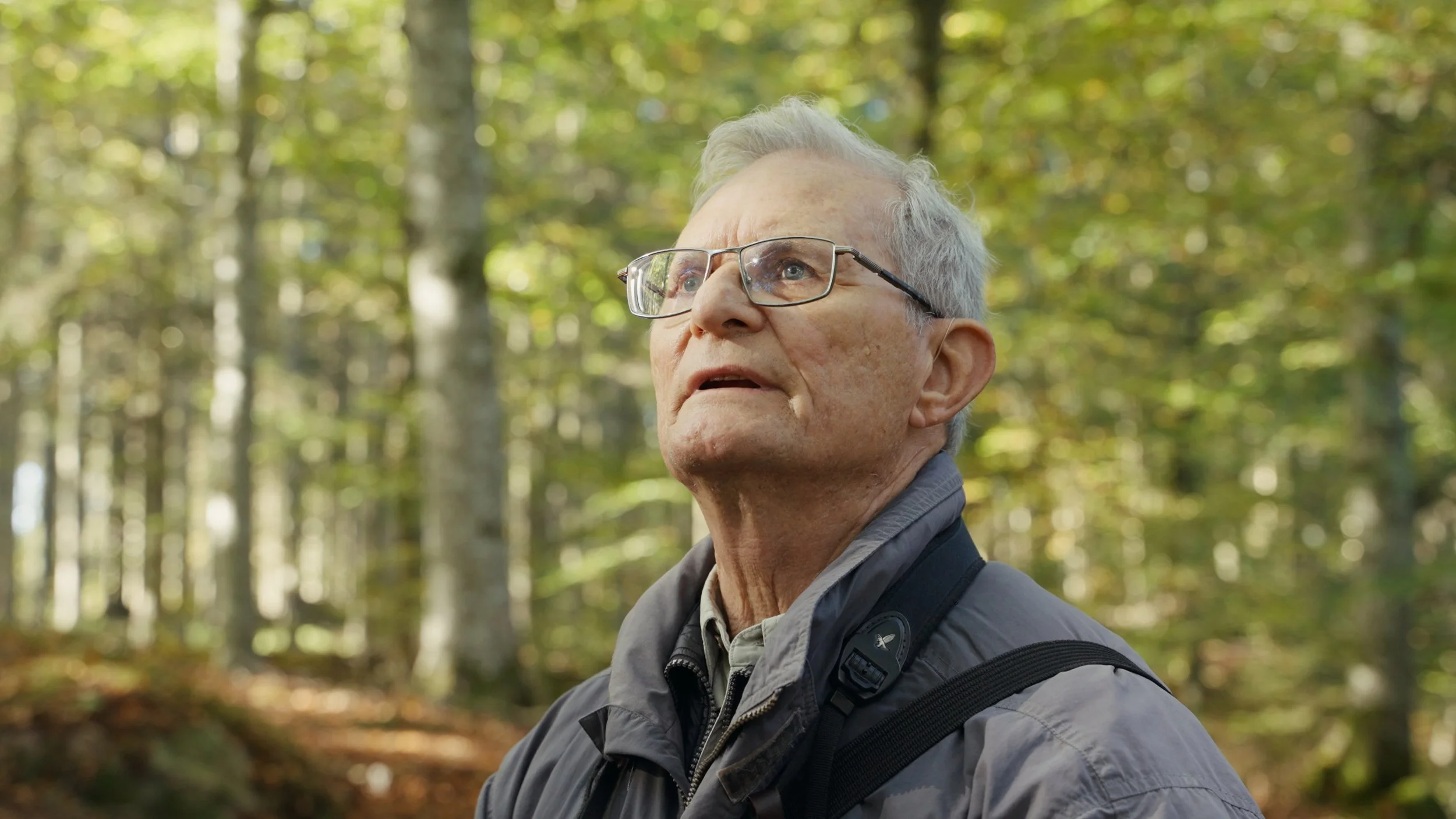 Still 2025-10-20 124315_1.57.1.jpg