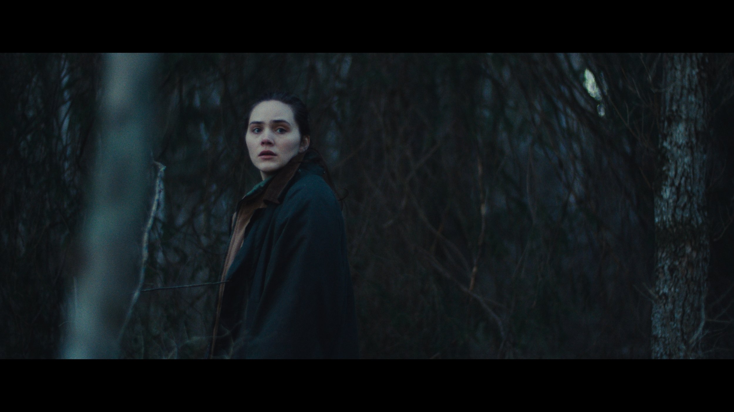 Still 2026-01-06 135057_1.39.1.jpg