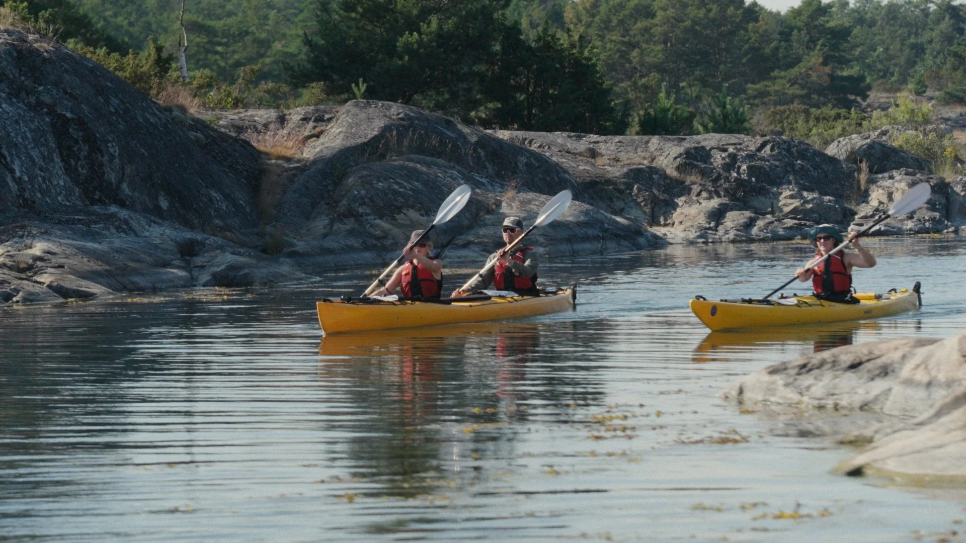 Still 2025-07-25 160938_1.8.1.jpg