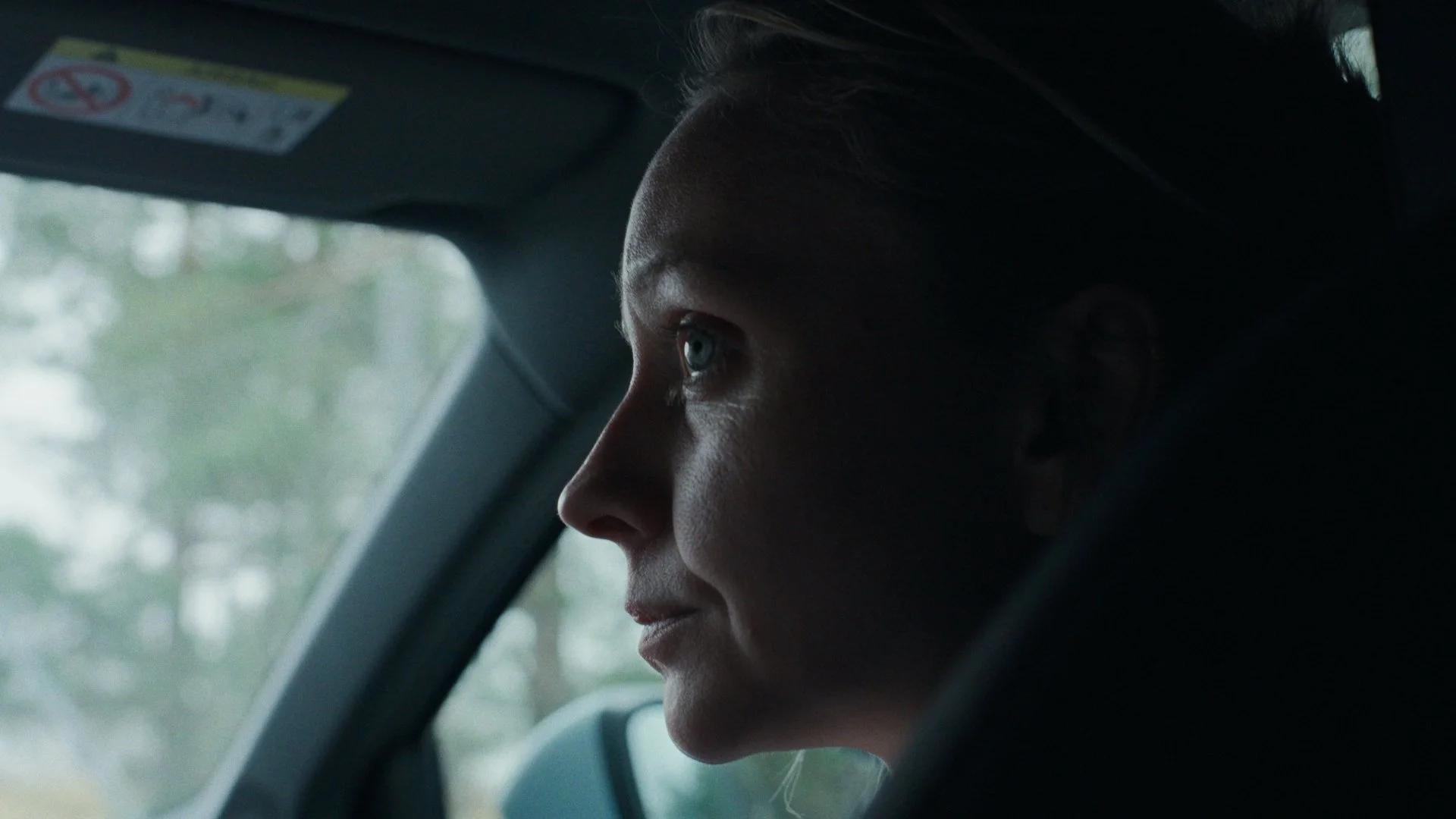 Still 2025-06-07 173302_1.9.1.JPG